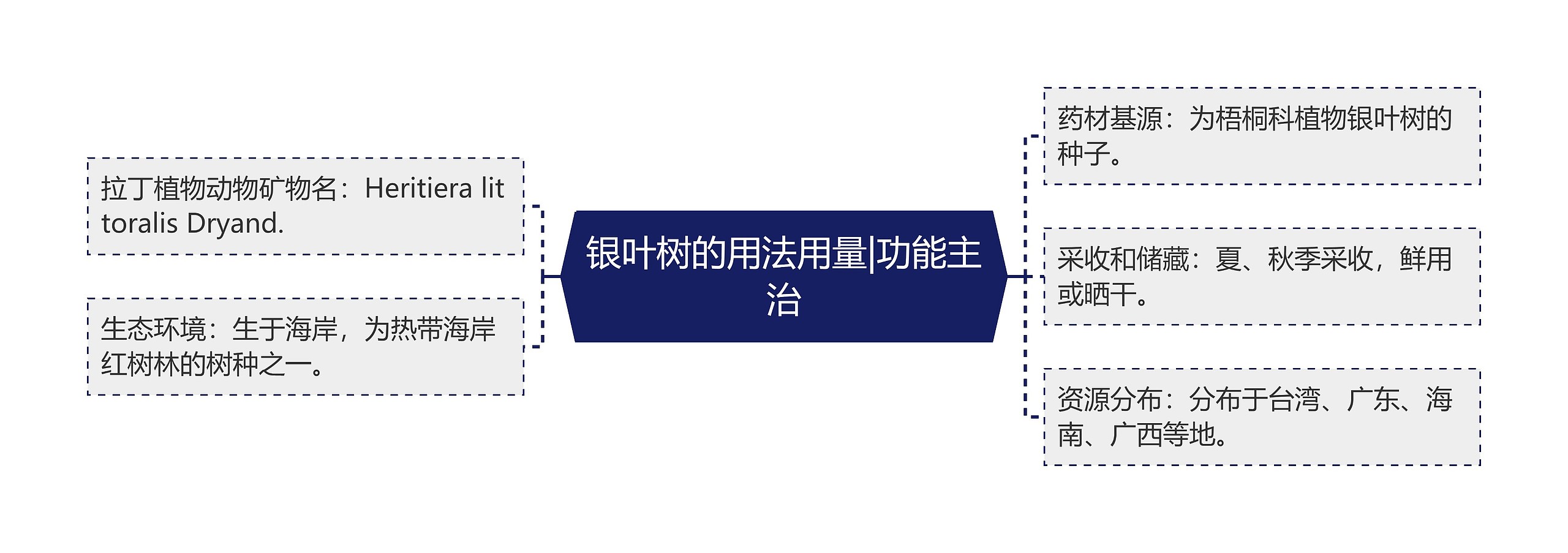 银叶树的用法用量|功能主治 银叶树的用法用量|功能主治