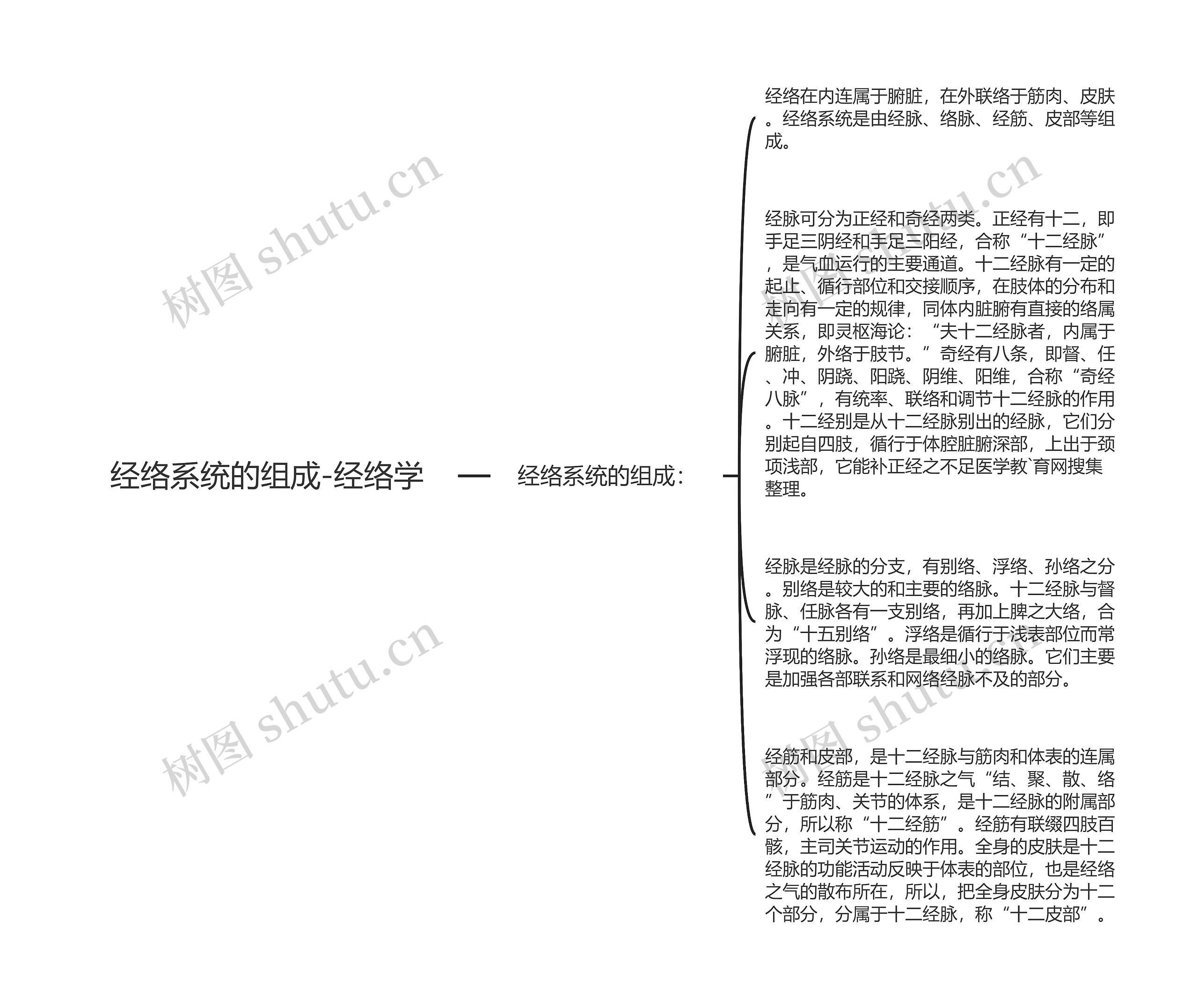 经络系统的组成-经络学思维导图