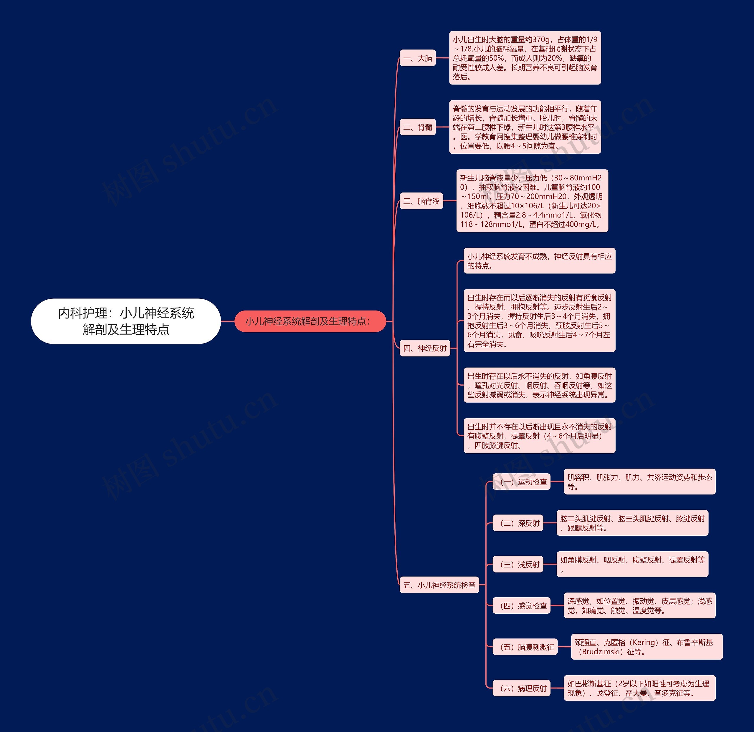 内科护理:小儿神经系统解剖及生理特点 内科护理:小儿神经系统解剖及生理特点