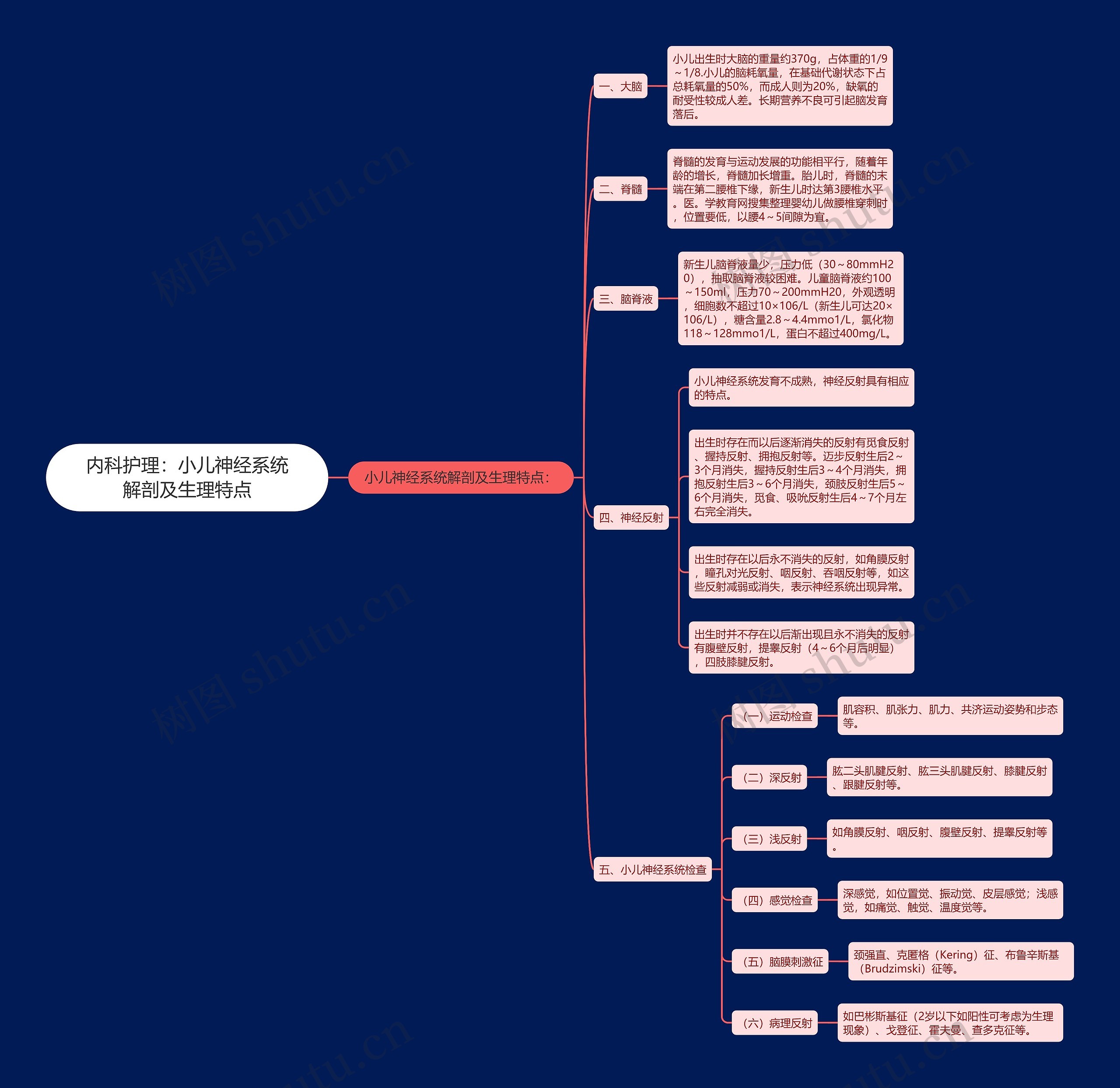 内科护理：小儿神经系统解剖及生理特点思维导图