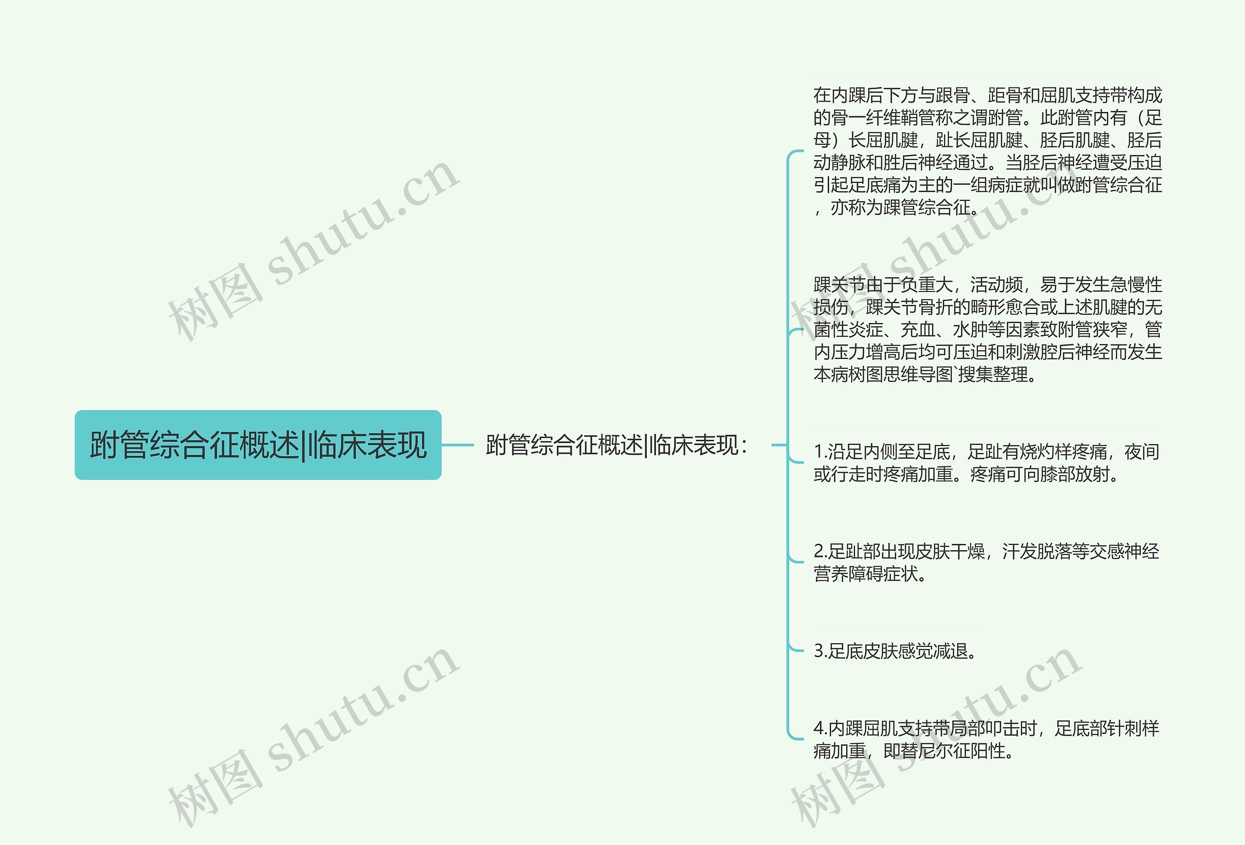 跗管综合征概述|临床表现