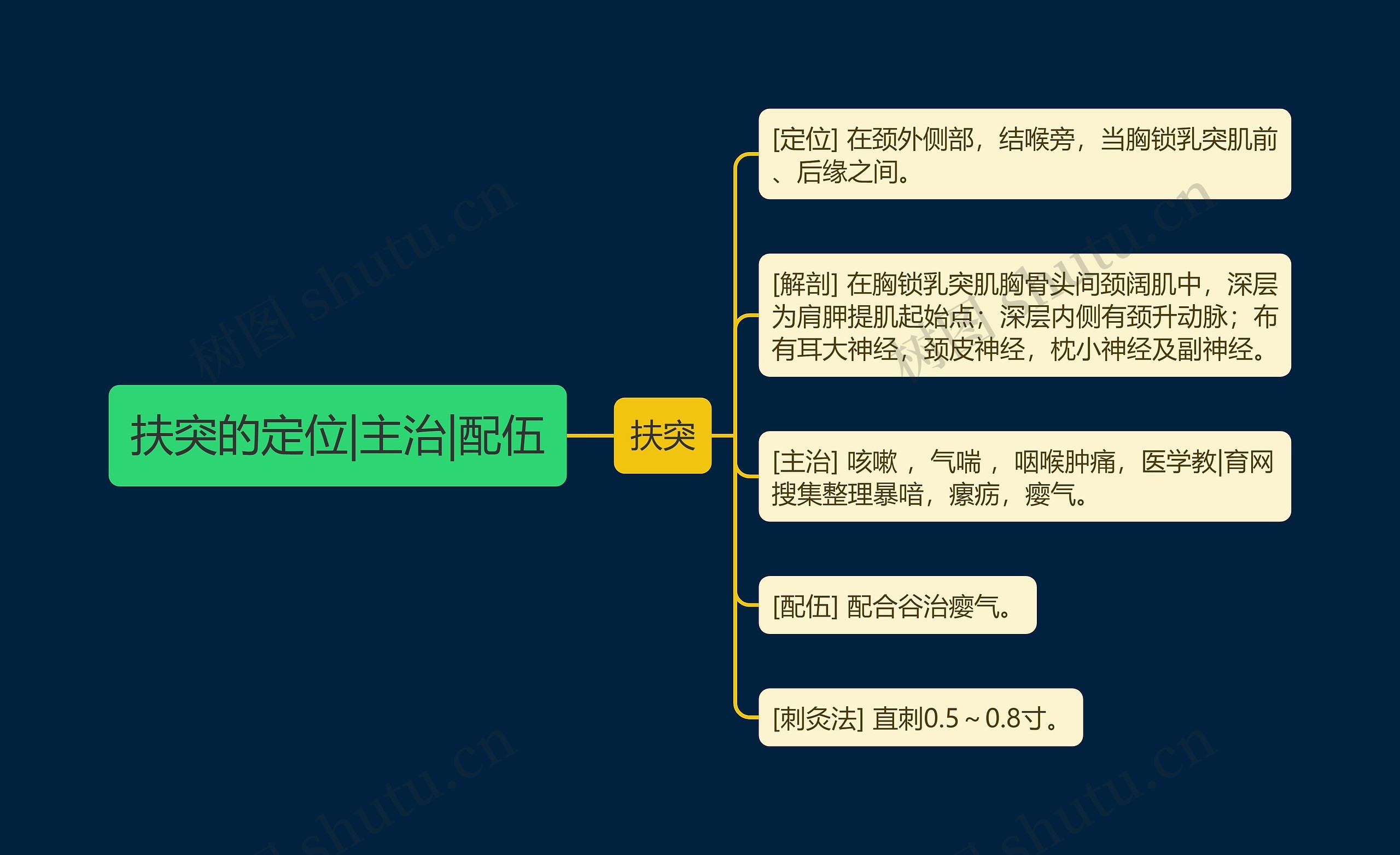 扶突的定位|主治|配伍