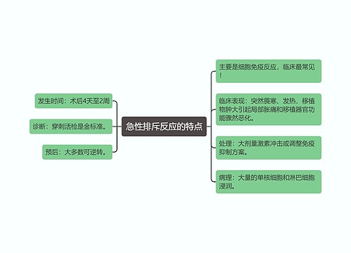 急性排斥反应的特点