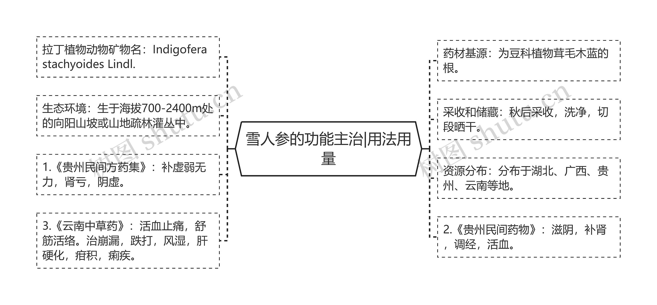 雪人参的功能主治|用法用量思维导图
