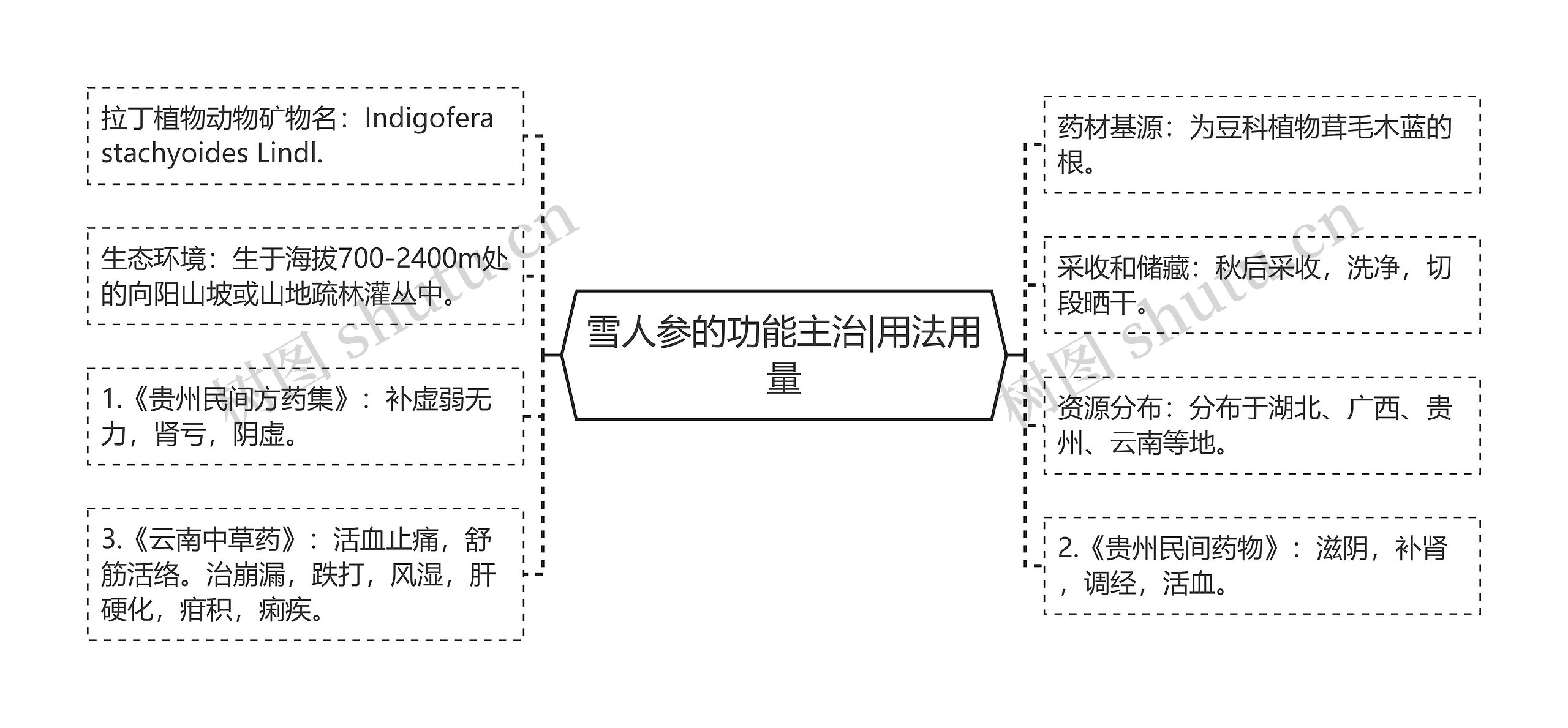 雪人参的功能主治|用法用量 雪人参的功能主治|用法用量
