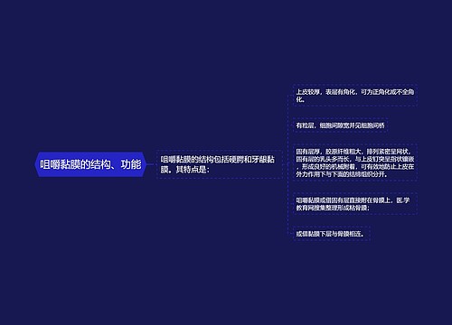 咀嚼黏膜的结构、功能