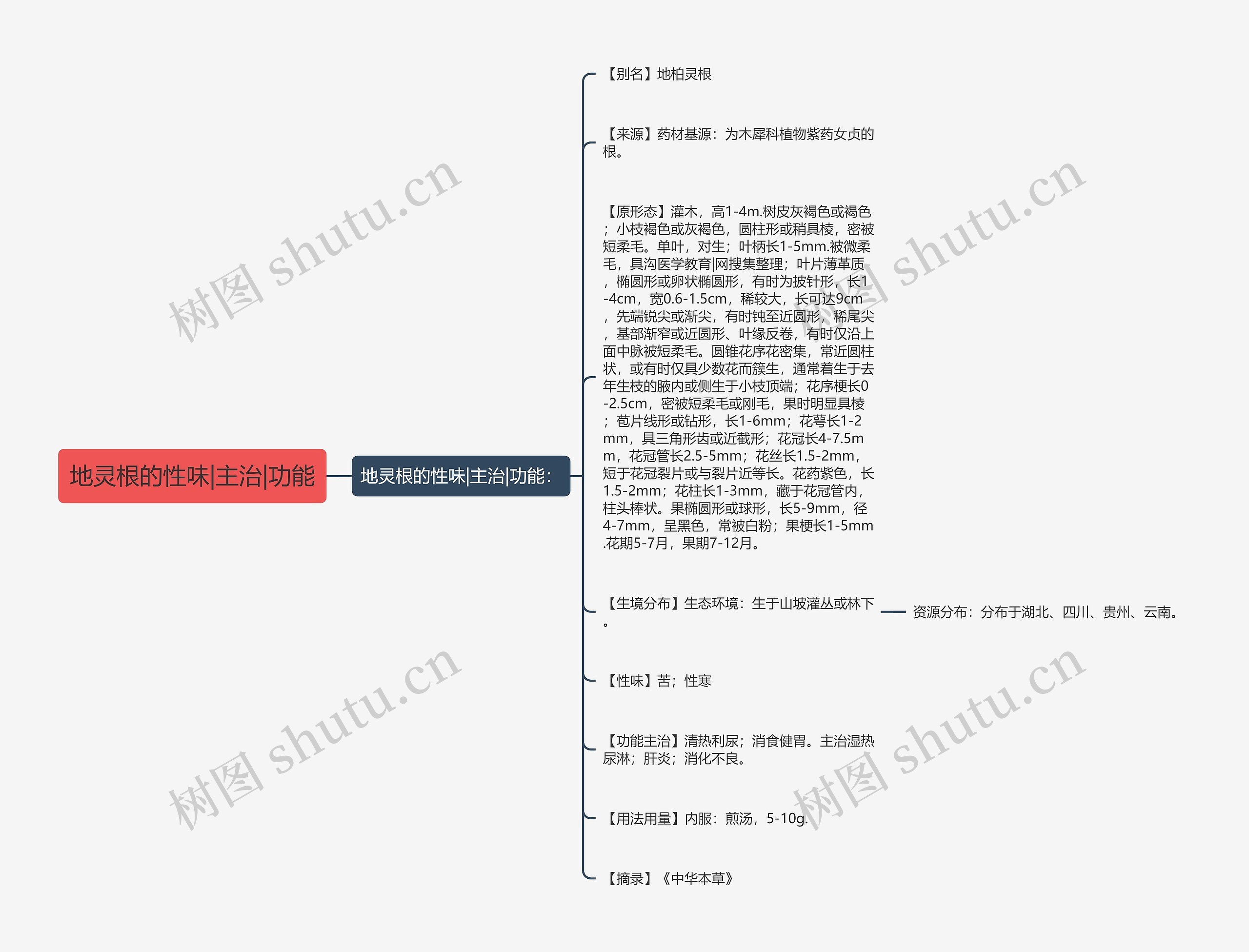 地灵根的性味|主治|功能思维导图