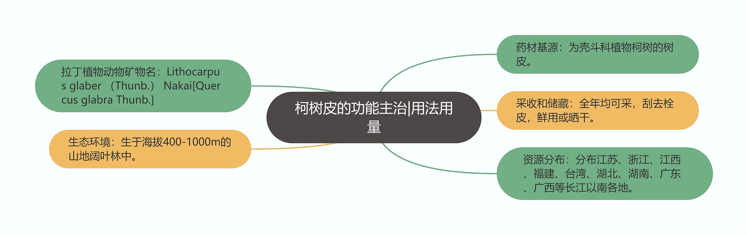 柯树皮的功能主治|用法用量思维导图