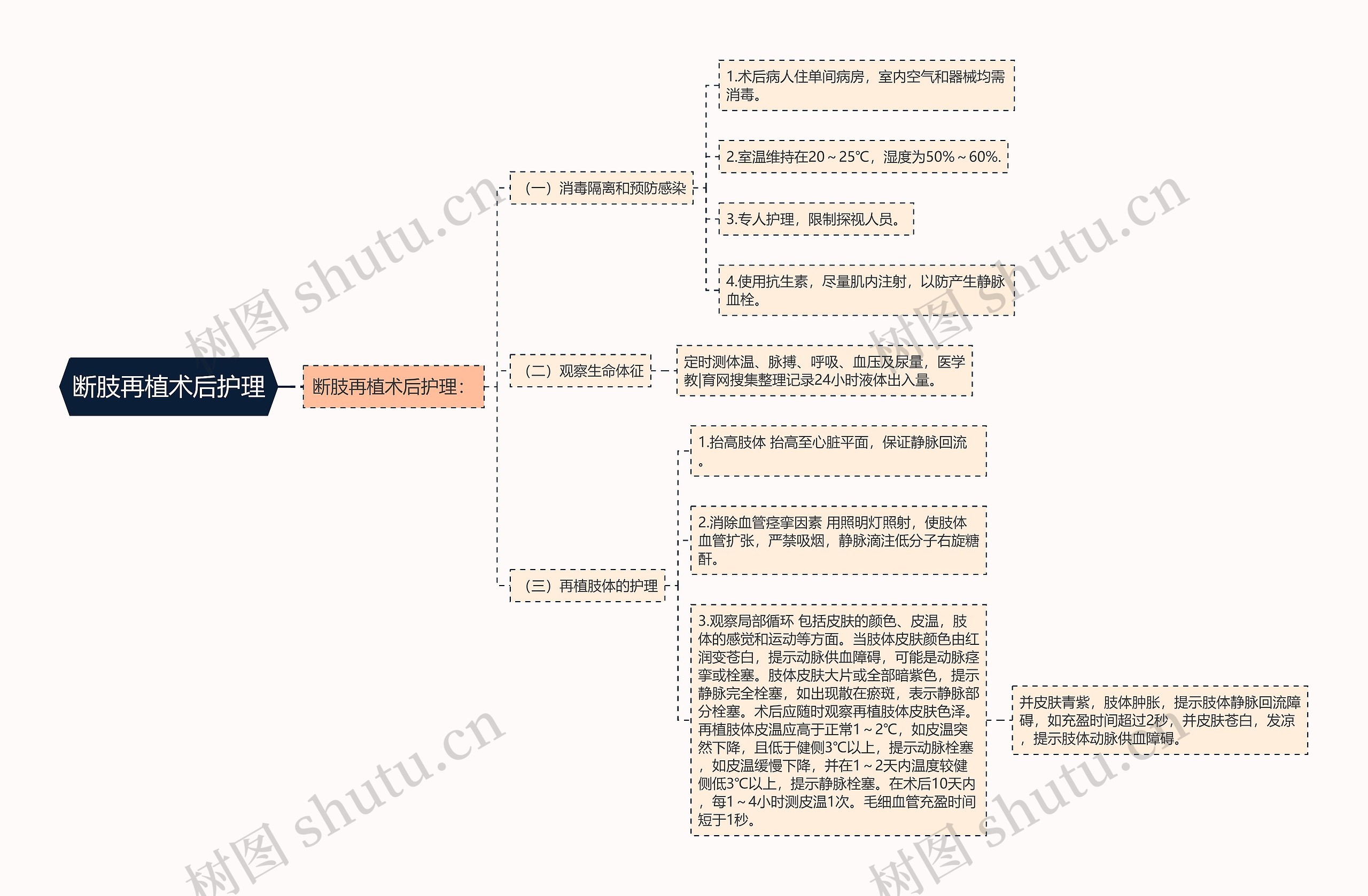 断肢再植术后护理思维导图