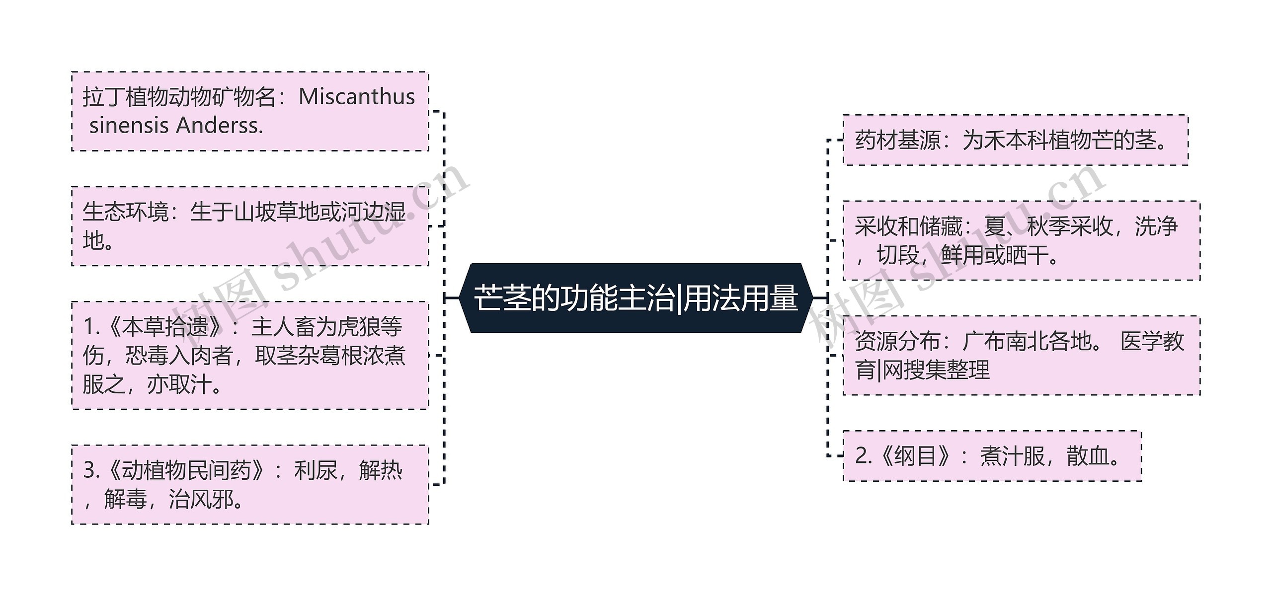 芒茎的功能主治|用法用量思维导图