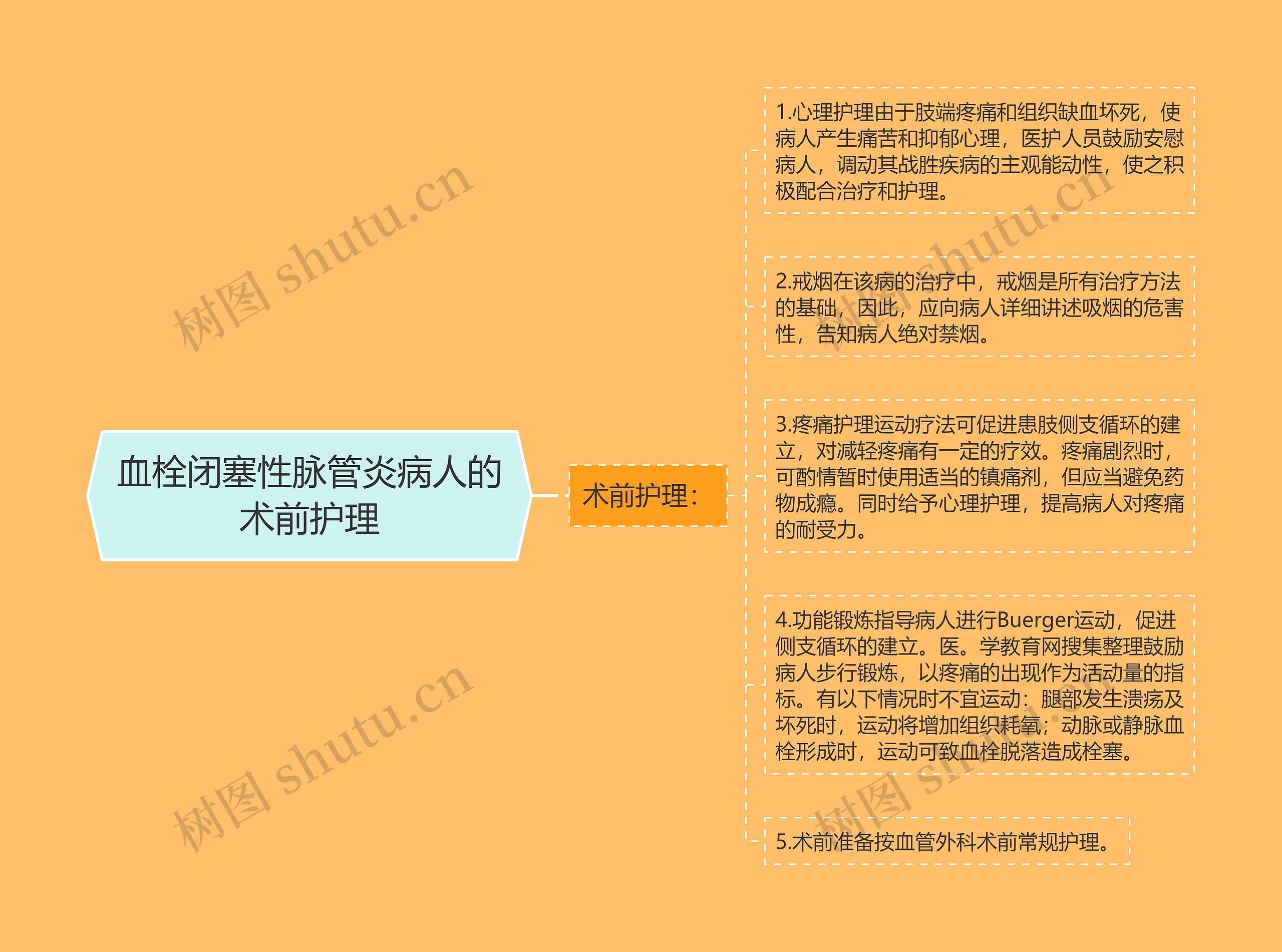 血栓闭塞性脉管炎病人的术前护理思维导图