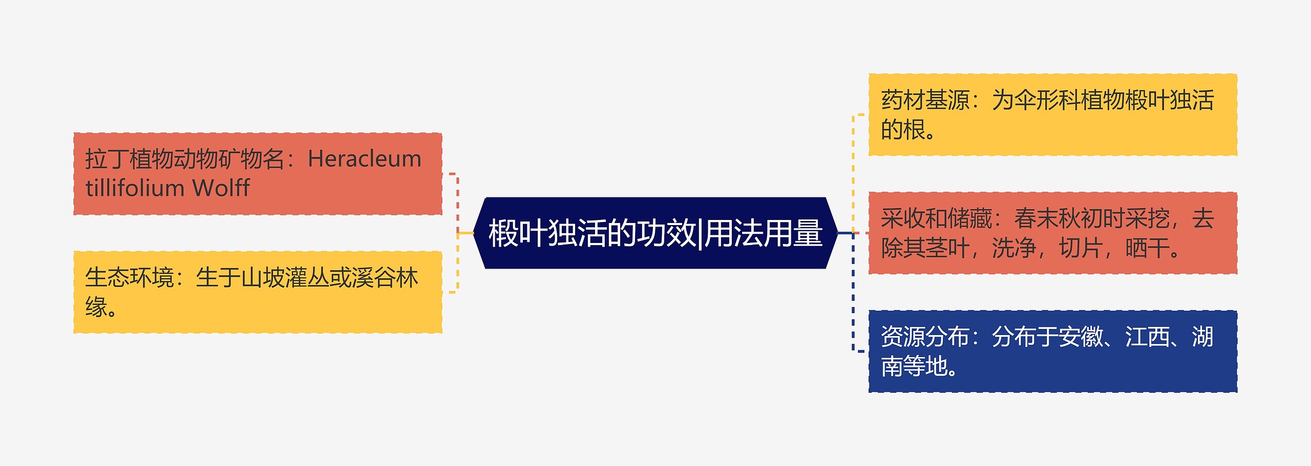 椴叶独活的功效|用法用量思维导图