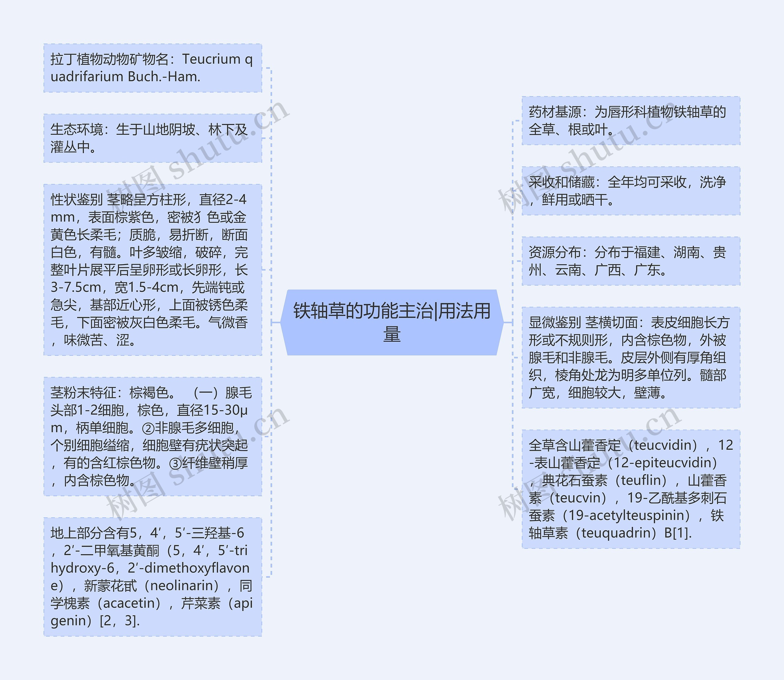 铁轴草的功能主治|用法用量思维导图