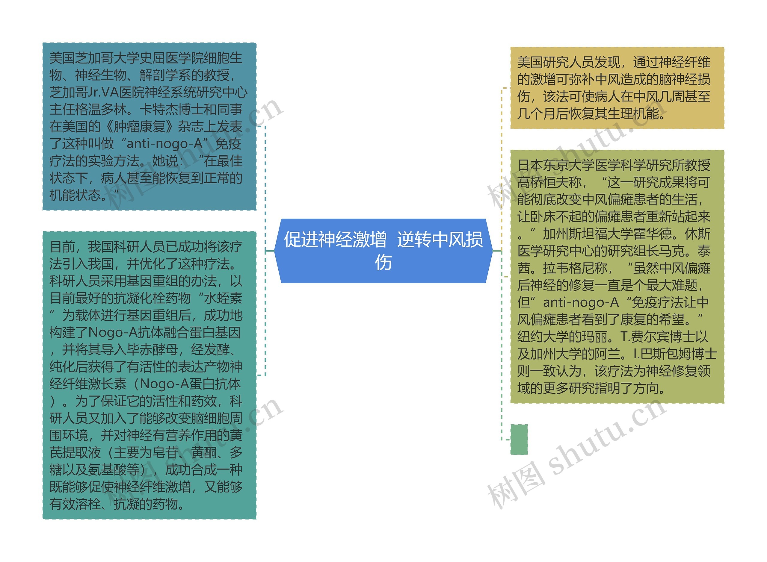 促进神经激增  逆转中风损伤思维导图