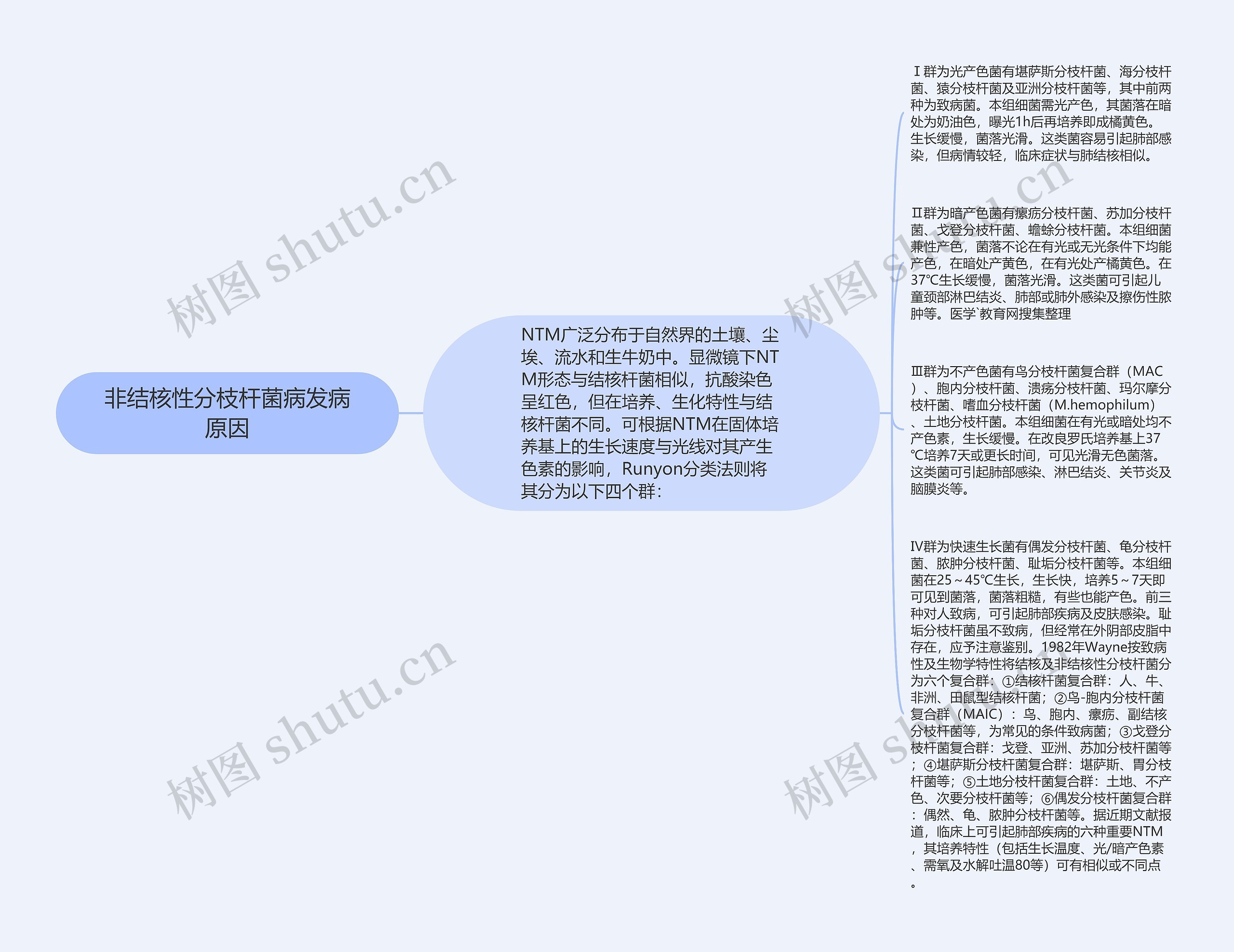 非结核性分枝杆菌病发病原因思维导图