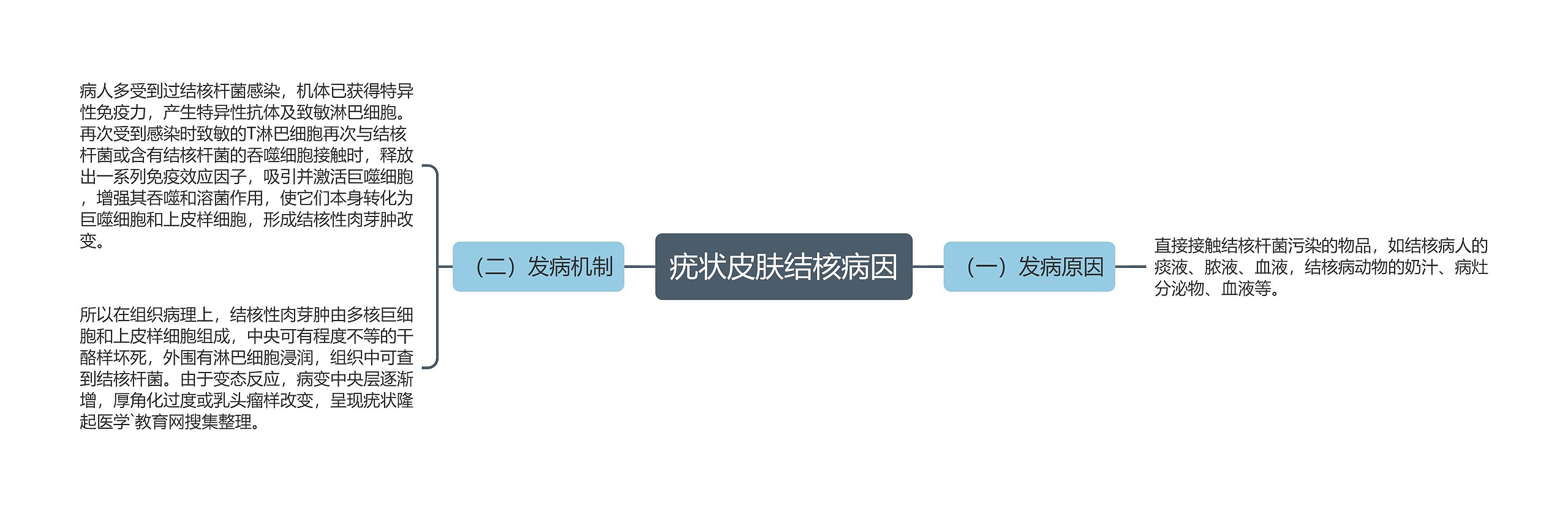 疣状皮肤结核病因思维导图