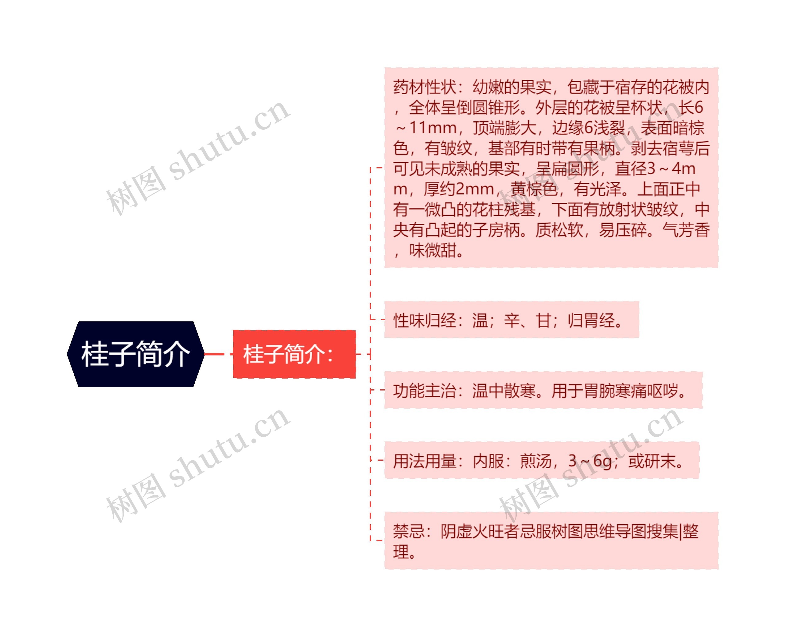 桂子简介思维导图