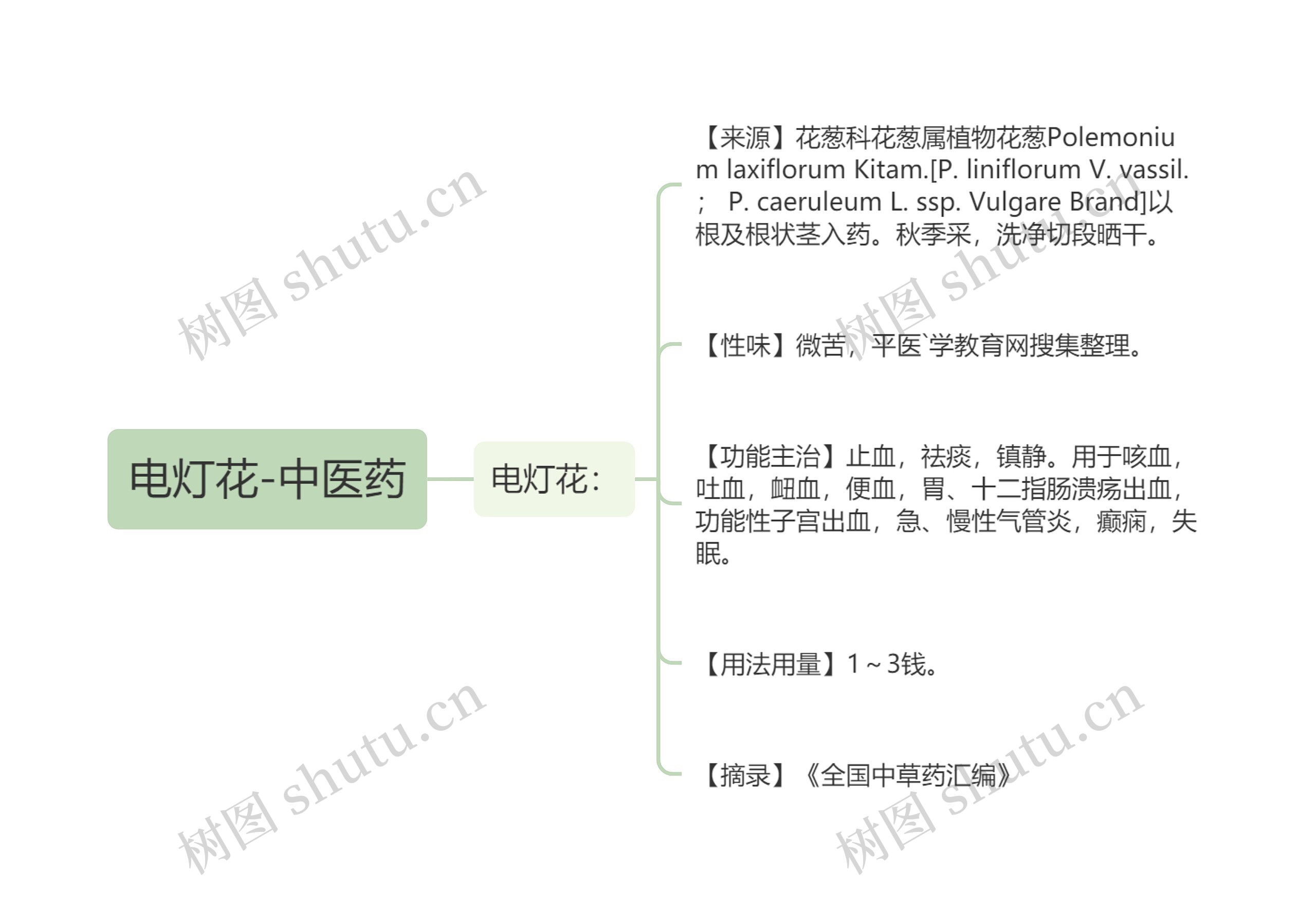 电灯花-中医药思维导图