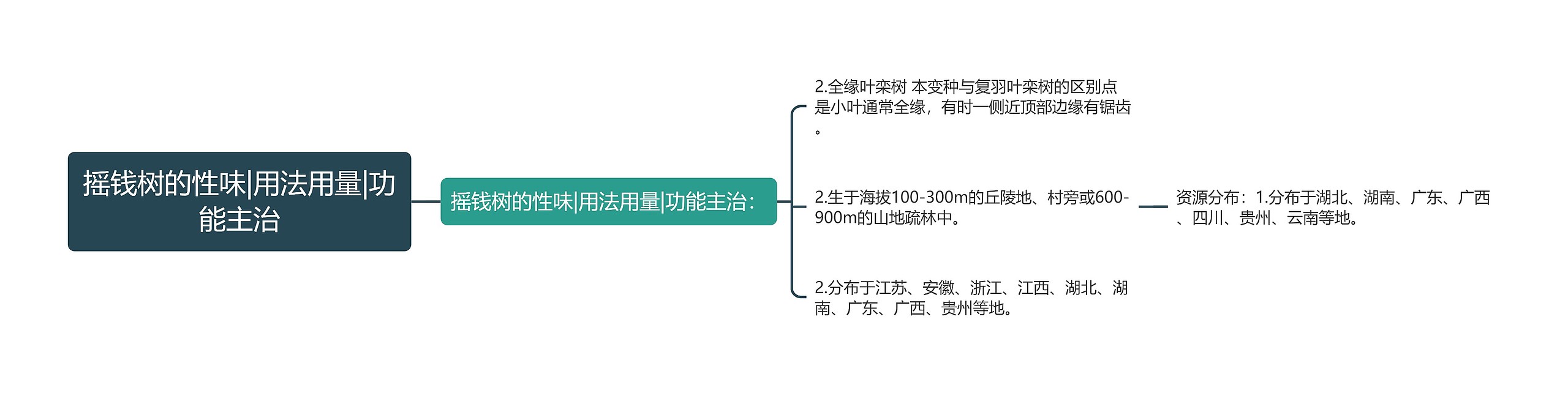 摇钱树的性味|用法用量|功能主治思维导图