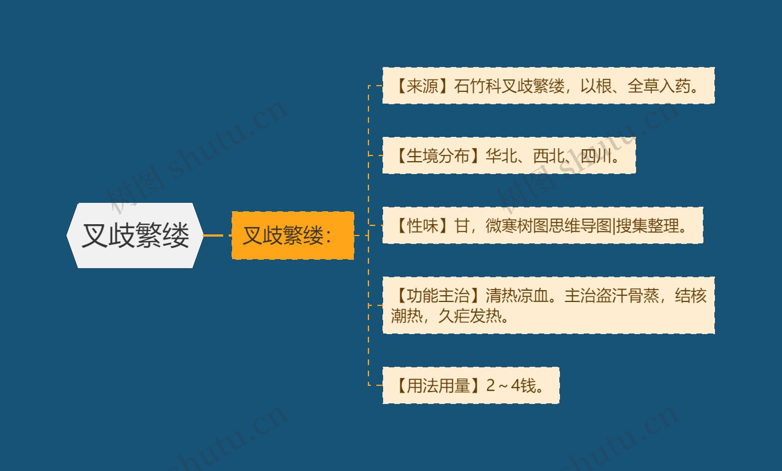 叉歧繁缕思维导图