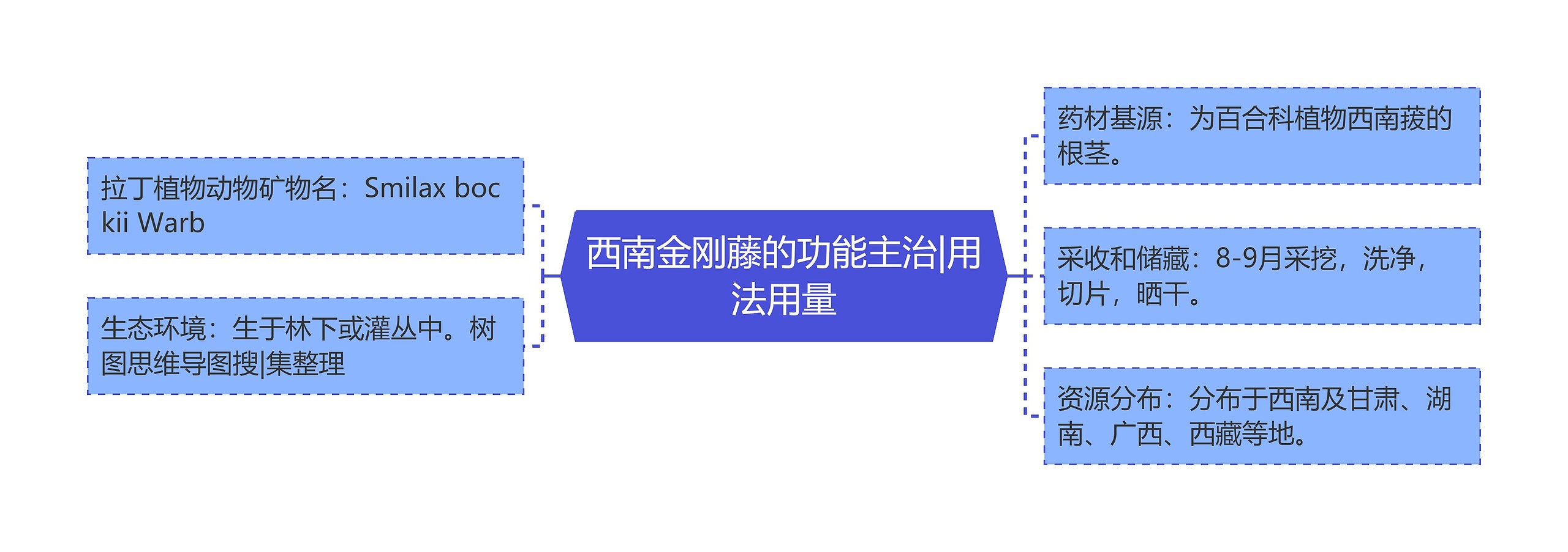 西南金刚藤的功能主治|用法用量 西南金刚藤的功能主治|用法用量