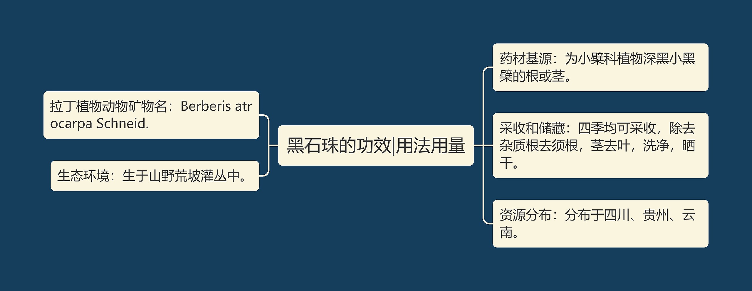 黑石珠的功效|用法用量思维导图