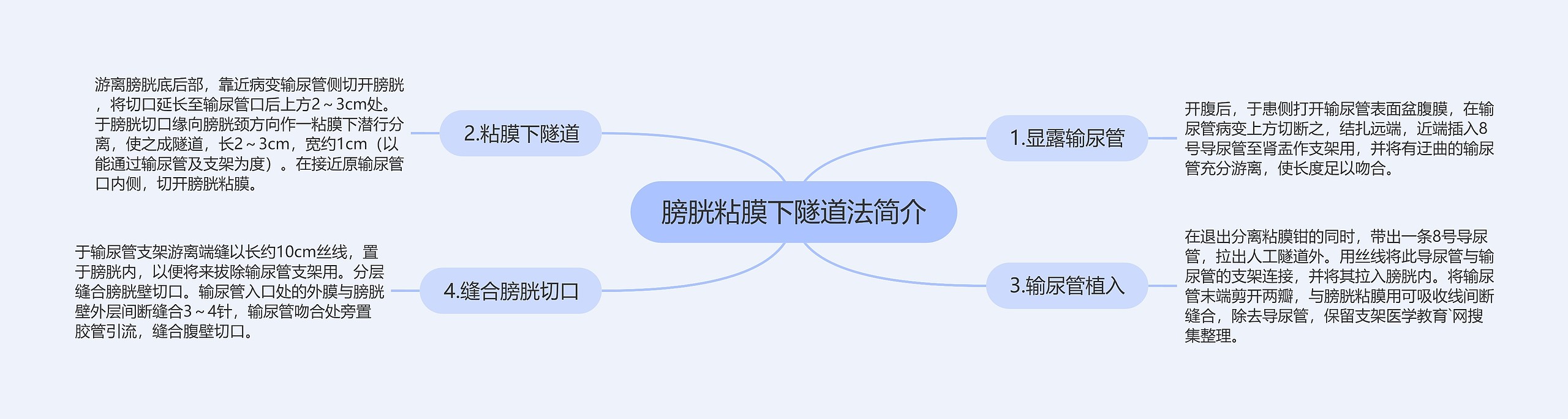 膀胱粘膜下隧道法简介 膀胱粘膜下隧道法简介