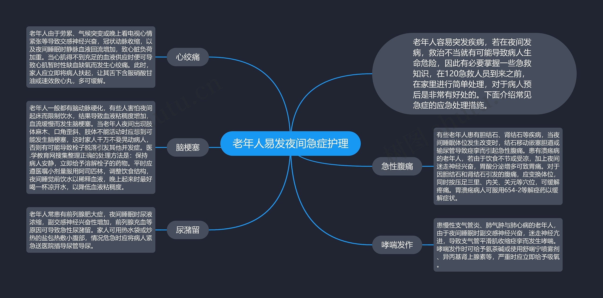 老年人易发夜间急症护理思维导图