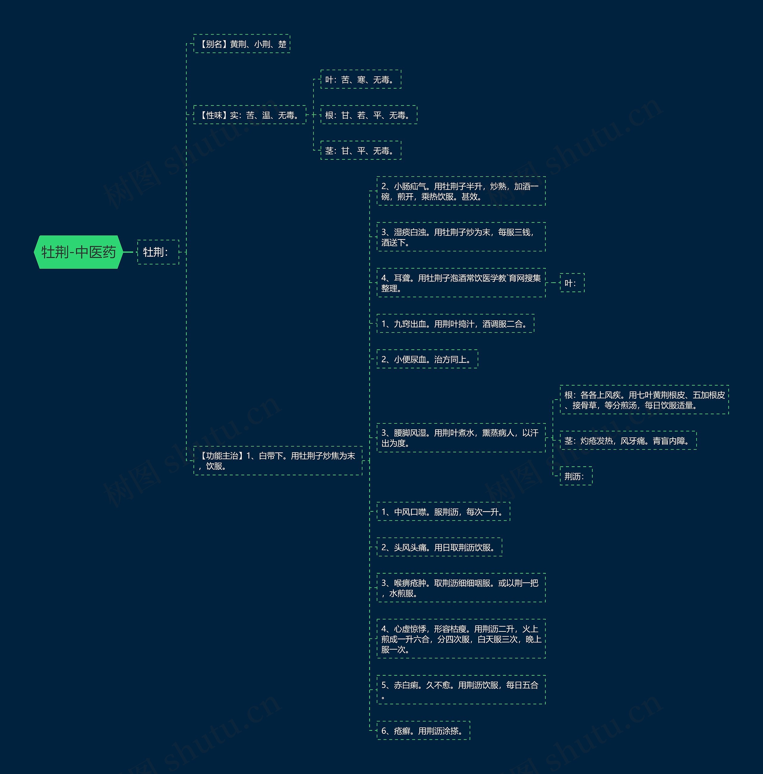 牡荆-中医药思维导图