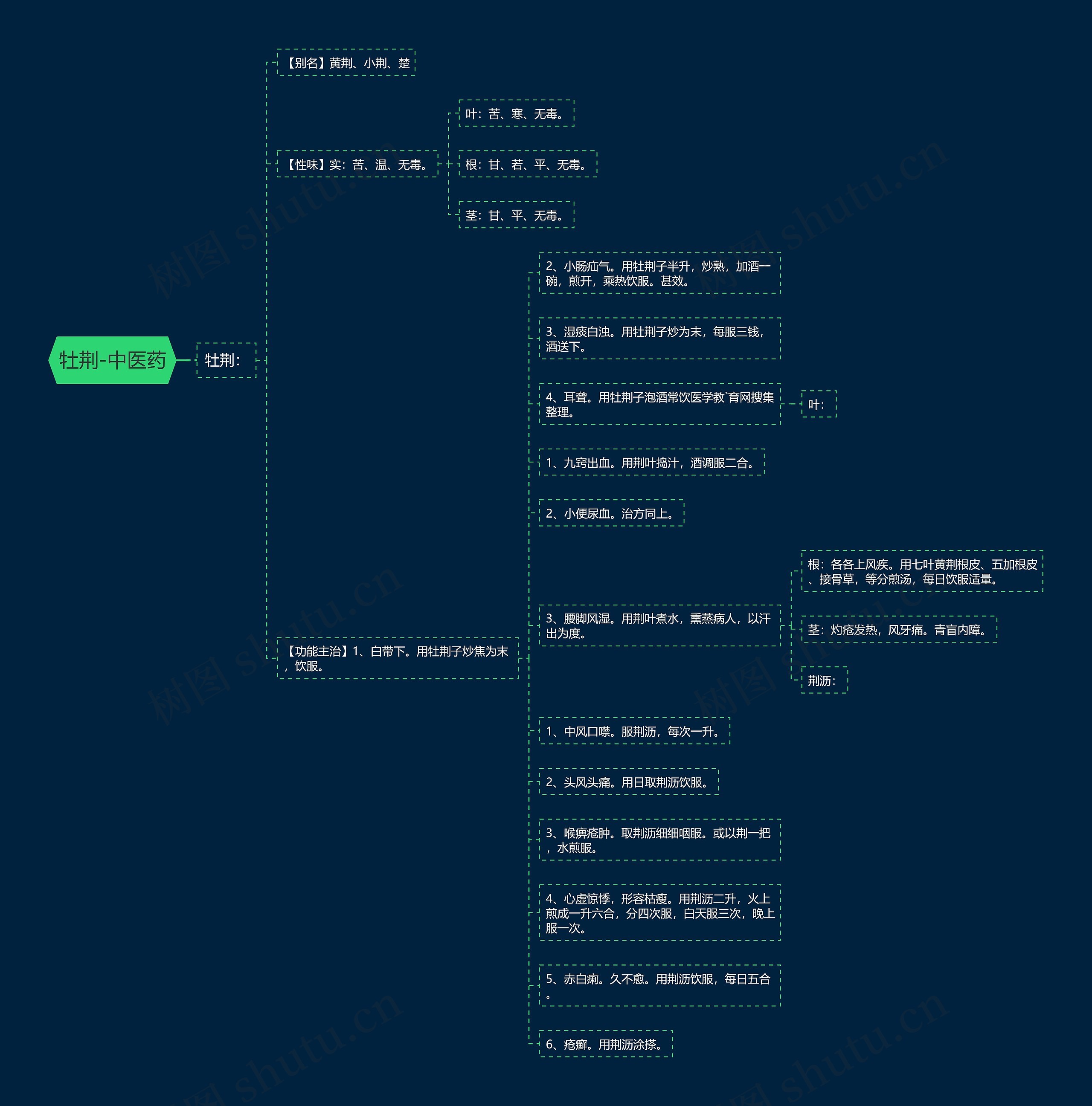 牡荆-中医药 牡荆-中医药