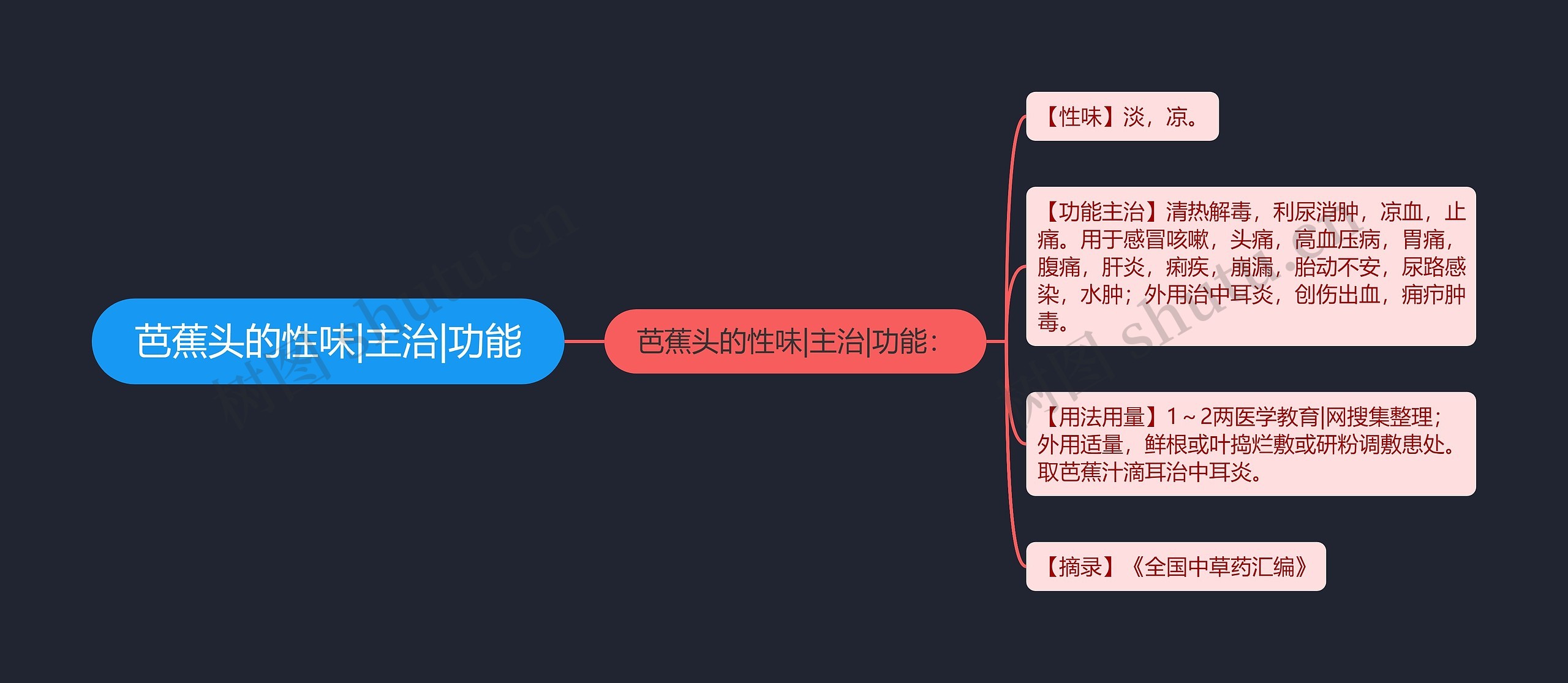 芭蕉头的性味|主治|功能