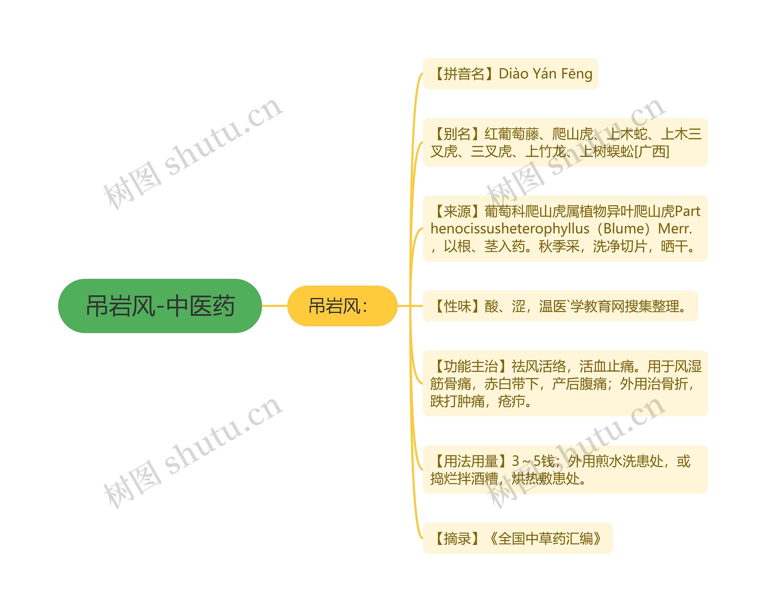 吊岩风-中医药 吊岩风-中医药