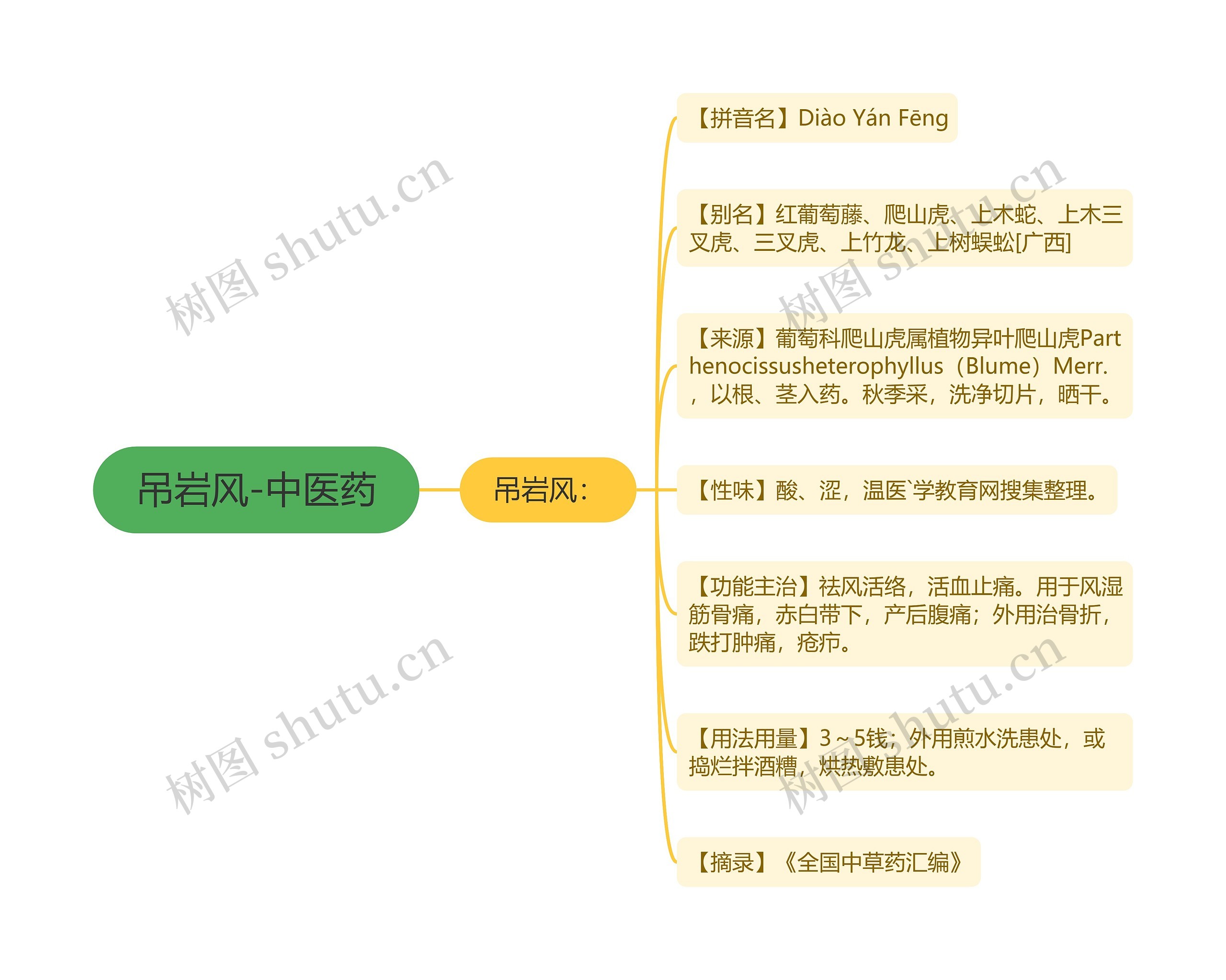 吊岩风-中医药思维导图