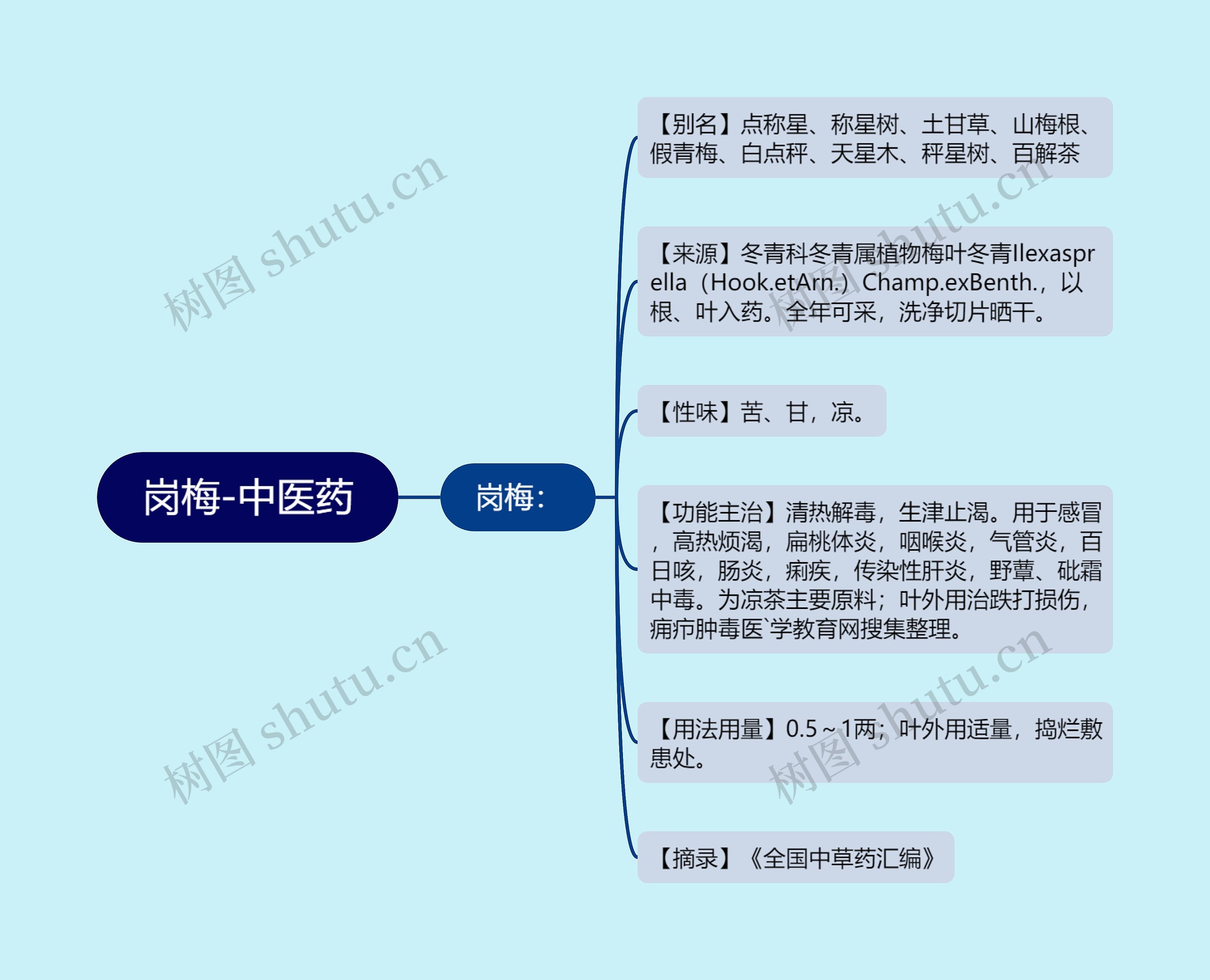 岗梅-中医药思维导图