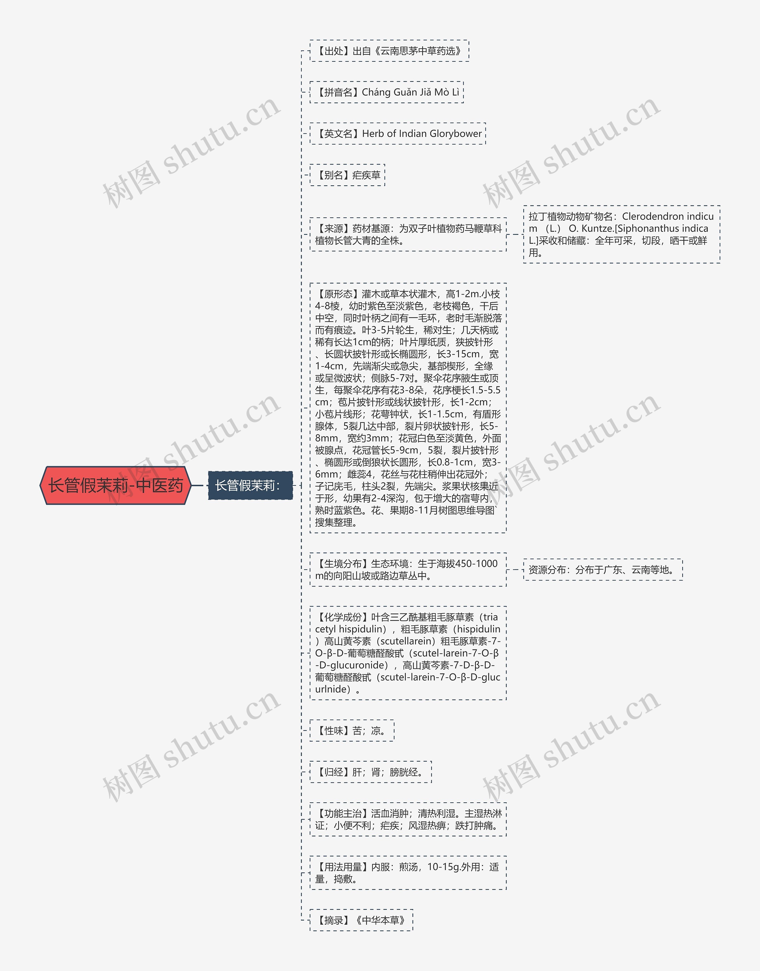 长管假茉莉-中医药思维导图