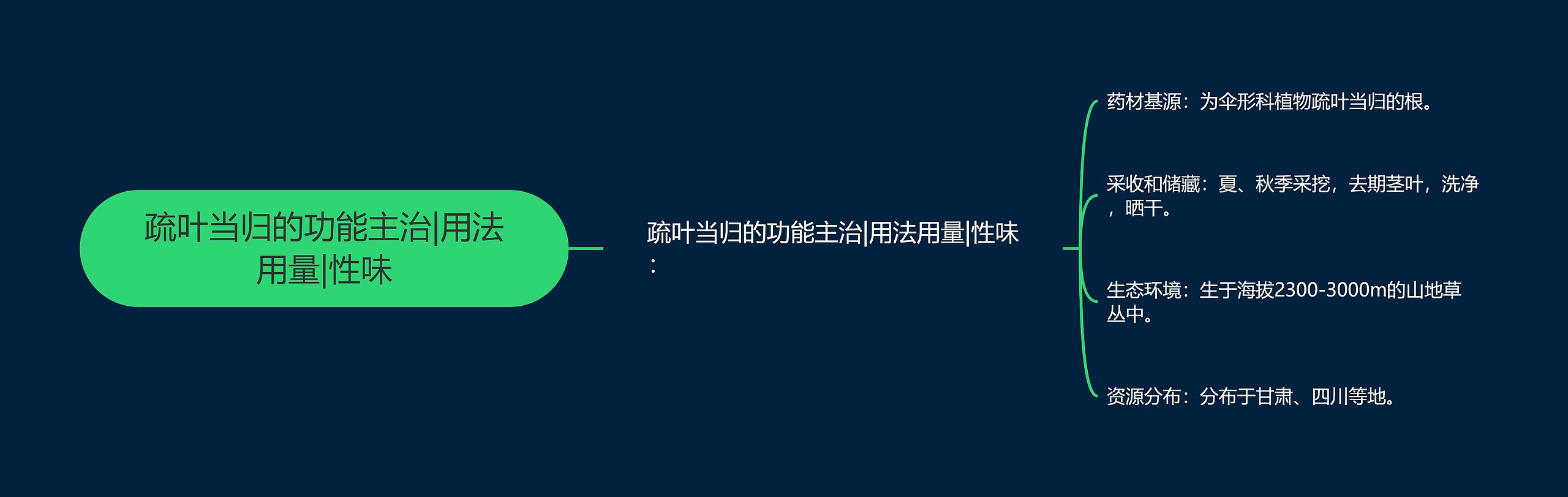 疏叶当归的功能主治|用法用量|性味