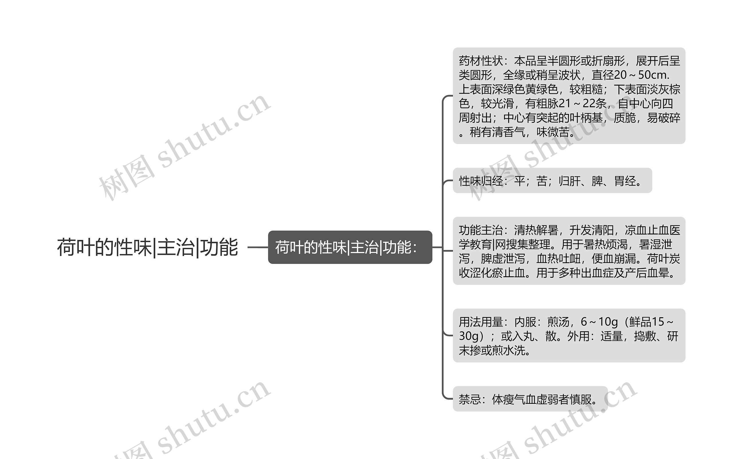 荷叶的性味|主治|功能思维导图