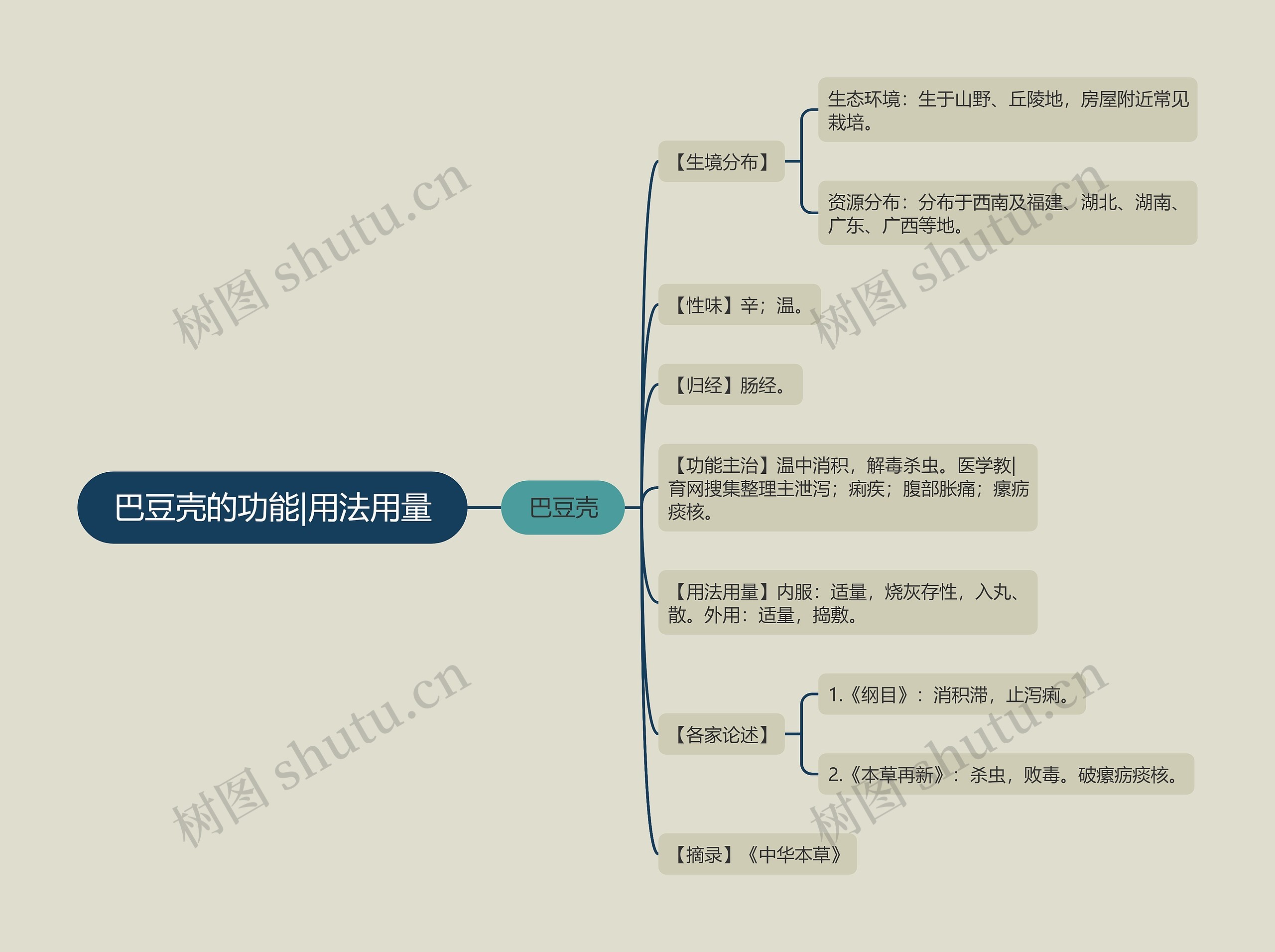 巴豆壳的功能|用法用量思维导图