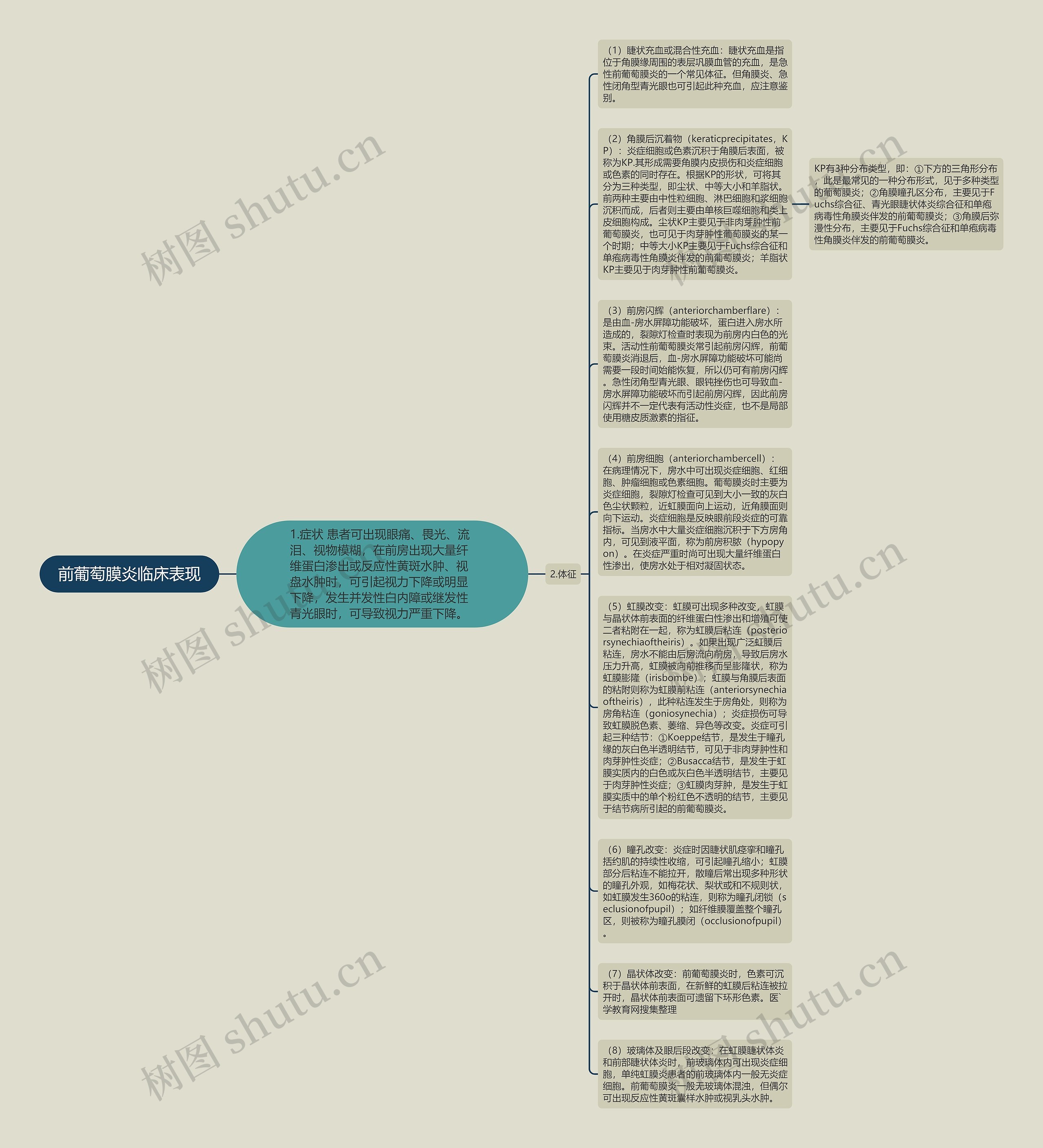 前葡萄膜炎临床表现思维导图