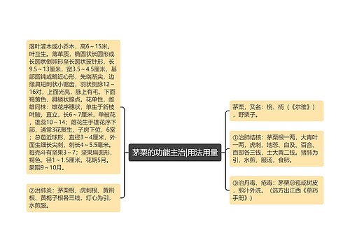 茅栗的功能主治|用法用量