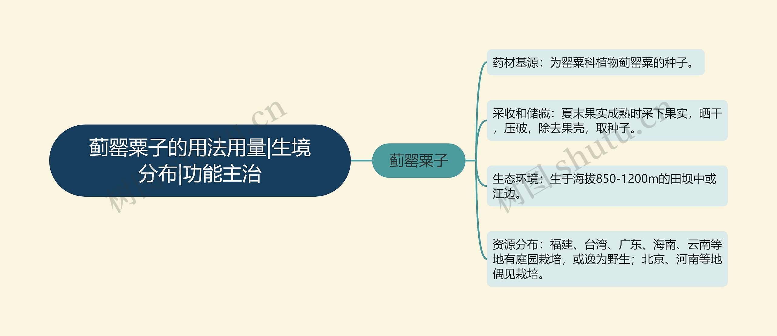 蓟罂粟子的用法用量|生境分布|功能主治思维导图