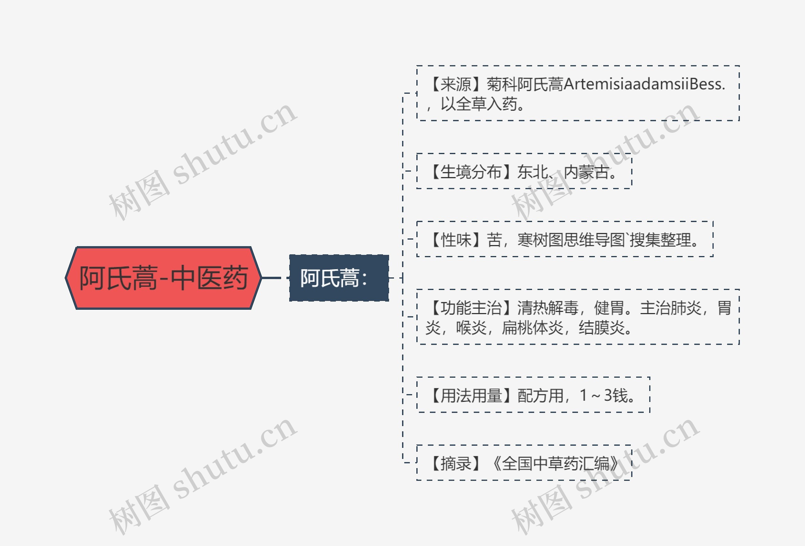阿氏蒿-中医药思维导图