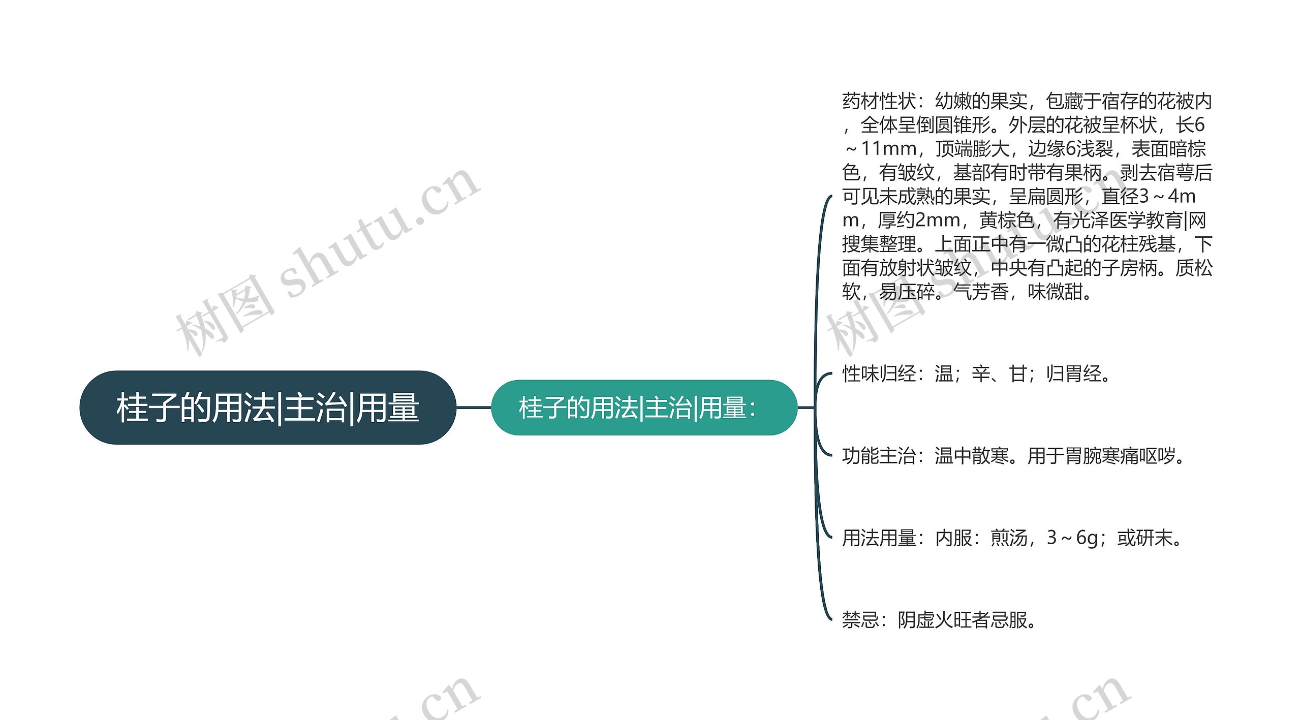 桂子的用法|主治|用量