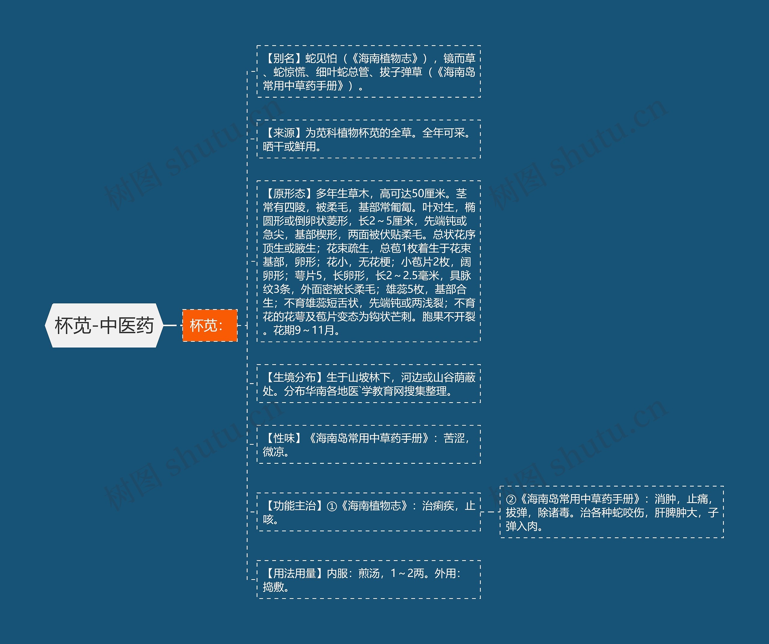 杯苋-中医药 杯苋-中医药