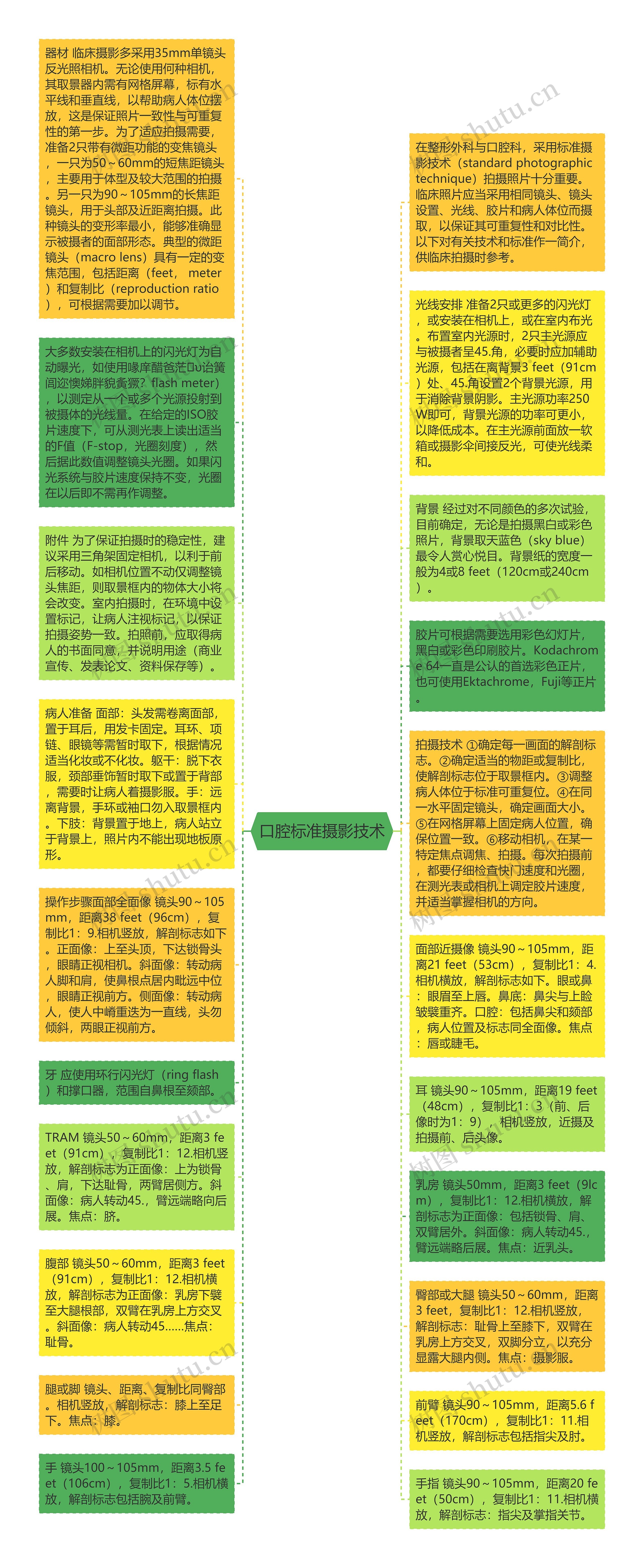 口腔标准摄影技术思维导图