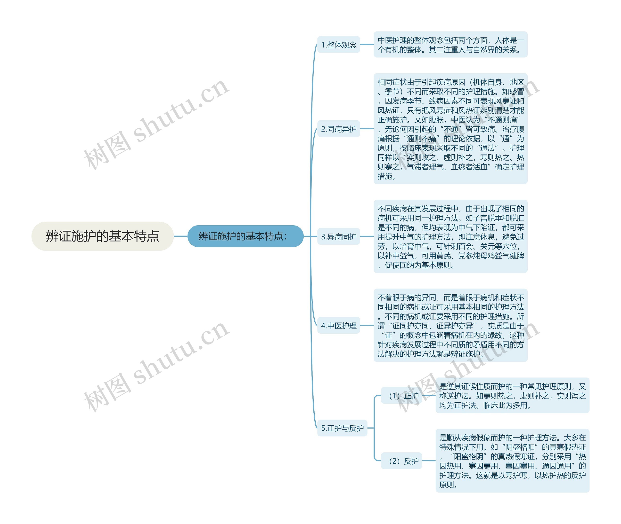 辨证施护的基本特点