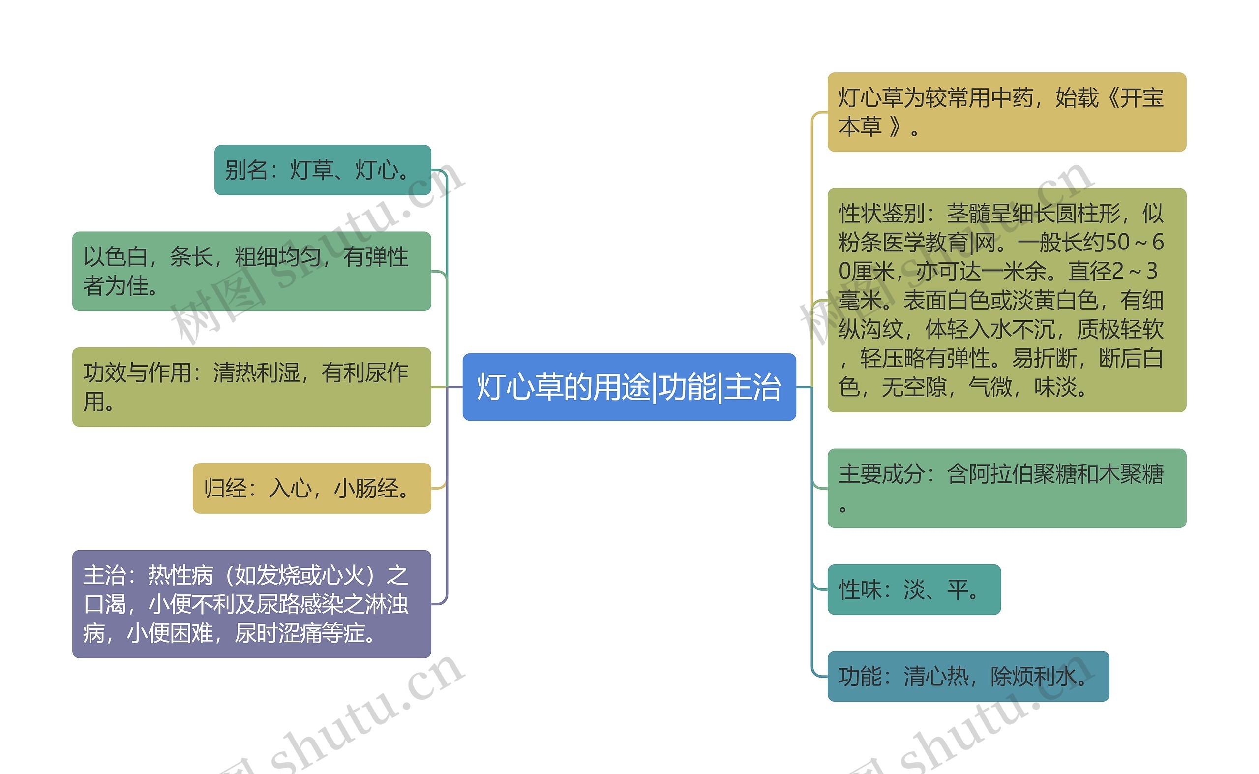 灯心草的用途|功能|主治思维导图