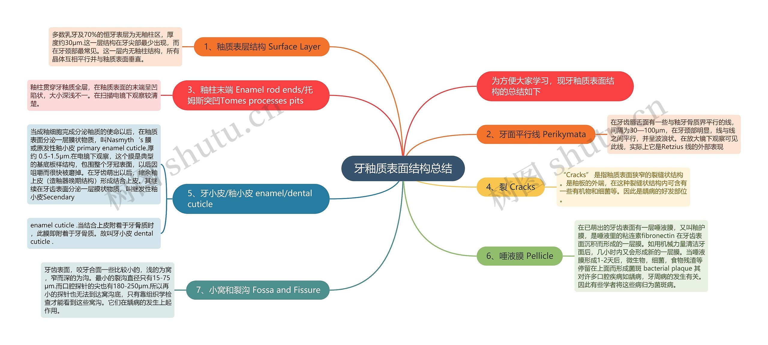 牙釉质表面结构总结