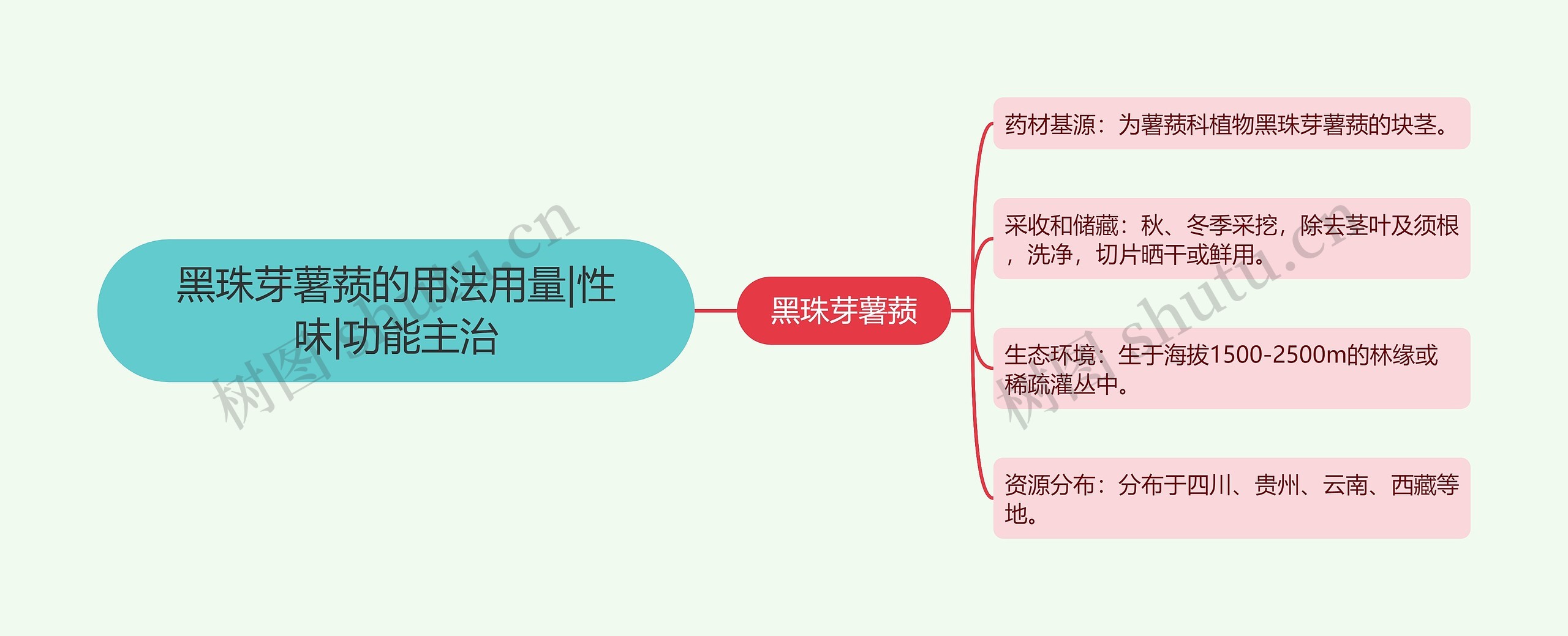 黑珠芽薯蓣的用法用量|性味|功能主治思维导图