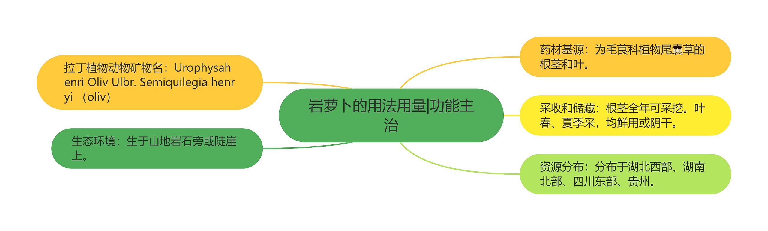 岩萝卜的用法用量|功能主治 岩萝卜的用法用量|功能主治